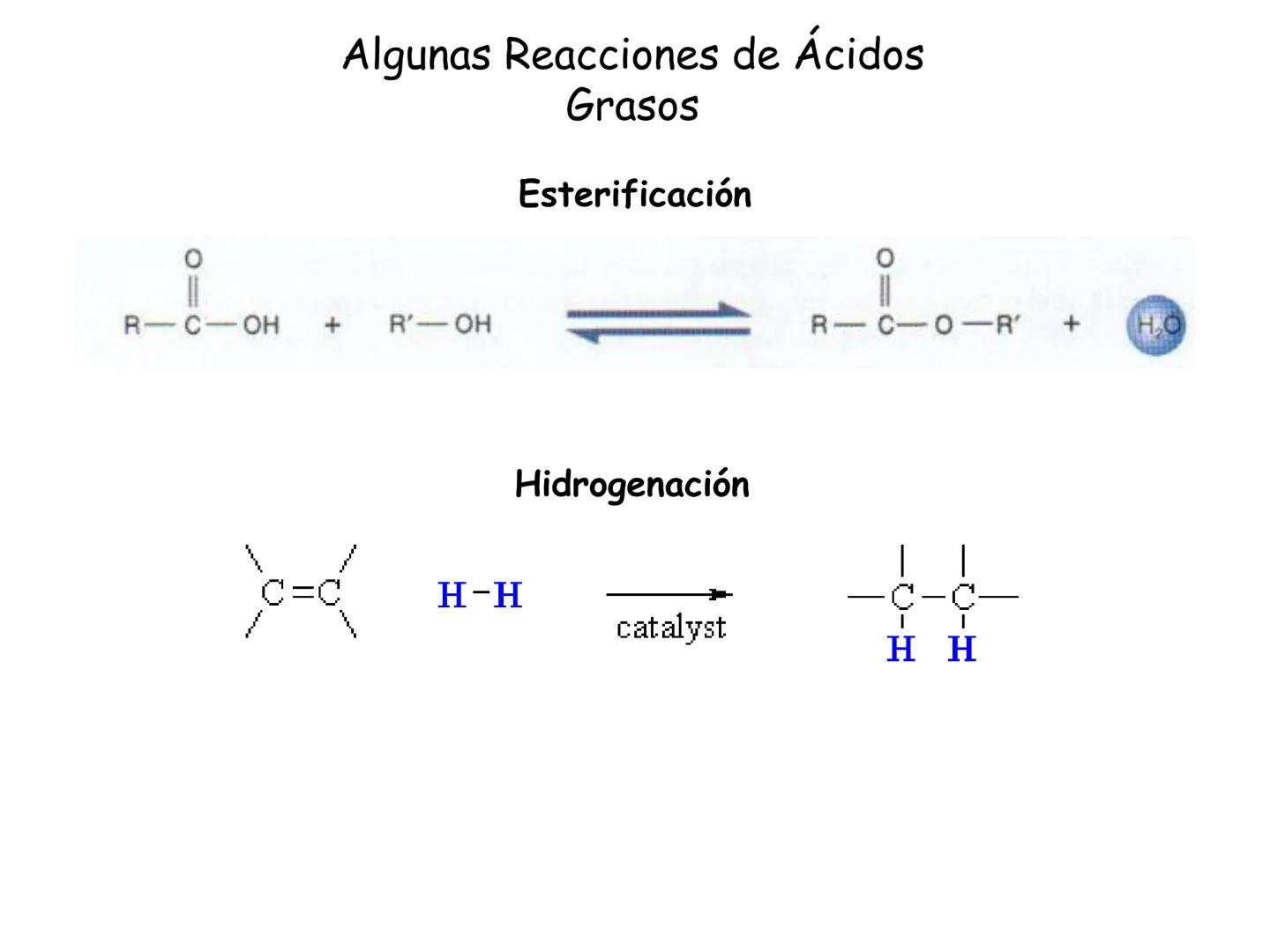 # Fundamentos de Bioquímica
Lípidos
FLUID
Phosphatidyl
Choline Bilayer
Carbon/Palmitic
Nitrogen Oleic
Oxygen
Water Oxygens
Phosphorus
H