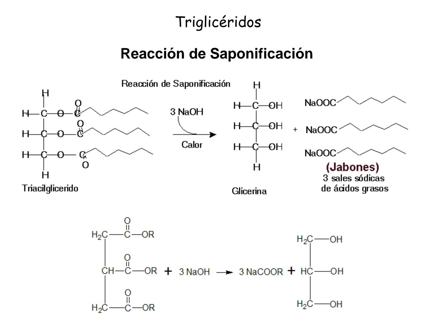 # Fundamentos de Bioquímica
Lípidos
FLUID
Phosphatidyl
Choline Bilayer
Carbon/Palmitic
Nitrogen Oleic
Oxygen
Water Oxygens
Phosphorus
H