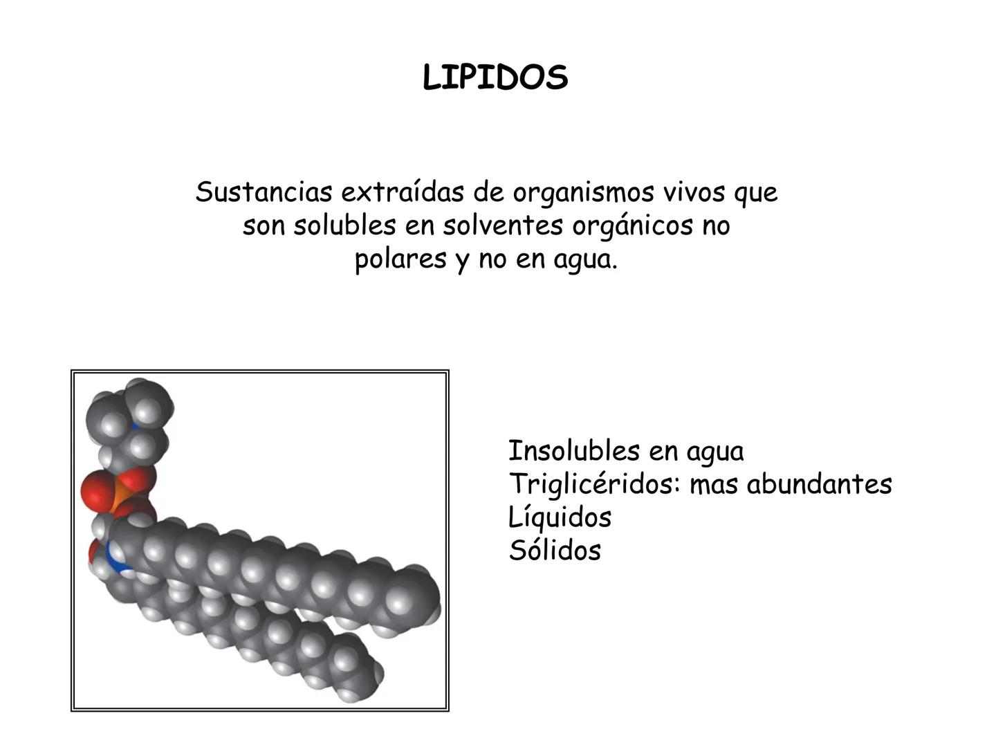 # Fundamentos de Bioquímica
Lípidos
FLUID
Phosphatidyl
Choline Bilayer
Carbon/Palmitic
Nitrogen Oleic
Oxygen
Water Oxygens
Phosphorus
H