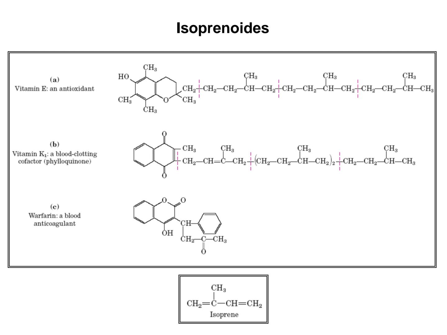 # Fundamentos de Bioquímica
Lípidos
FLUID
Phosphatidyl
Choline Bilayer
Carbon/Palmitic
Nitrogen Oleic
Oxygen
Water Oxygens
Phosphorus
H
