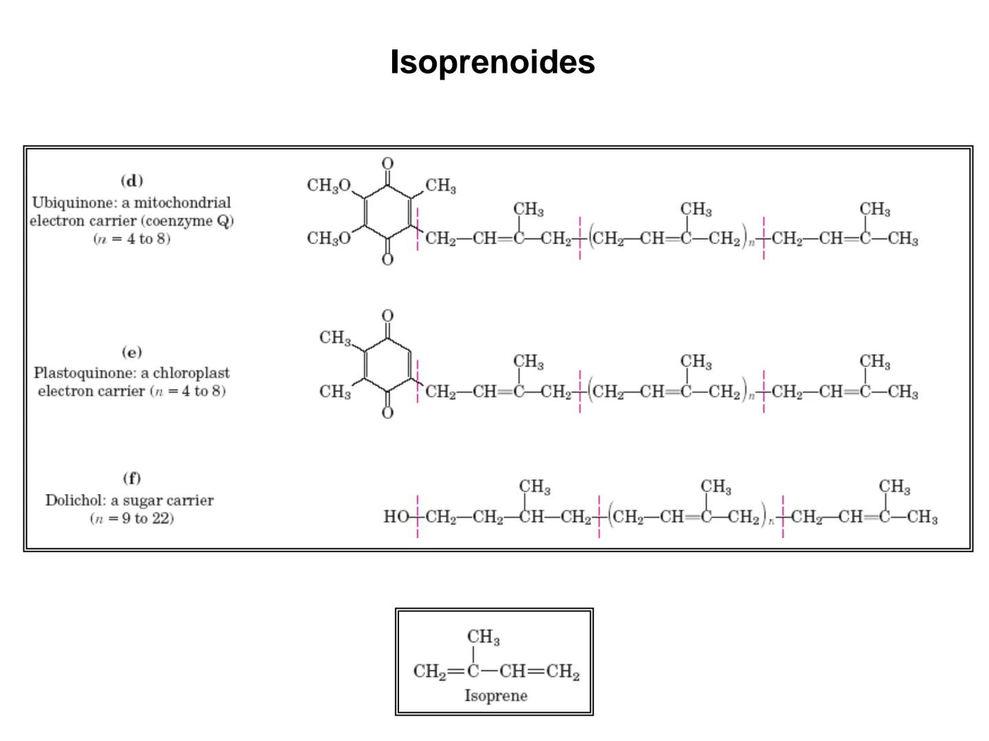 # Fundamentos de Bioquímica
Lípidos
FLUID
Phosphatidyl
Choline Bilayer
Carbon/Palmitic
Nitrogen Oleic
Oxygen
Water Oxygens
Phosphorus
H