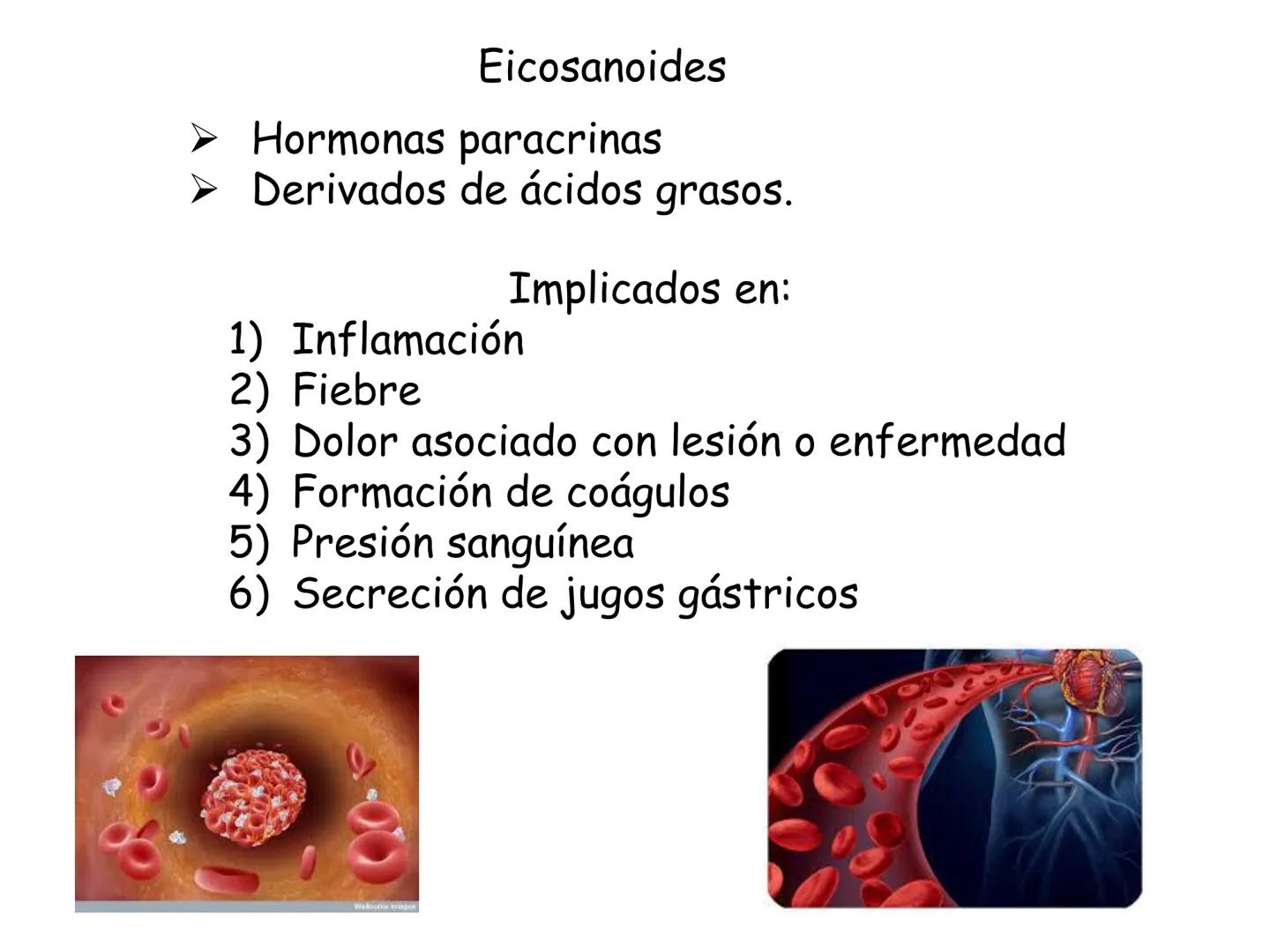 # Fundamentos de Bioquímica
Lípidos
FLUID
Phosphatidyl
Choline Bilayer
Carbon/Palmitic
Nitrogen Oleic
Oxygen
Water Oxygens
Phosphorus
H