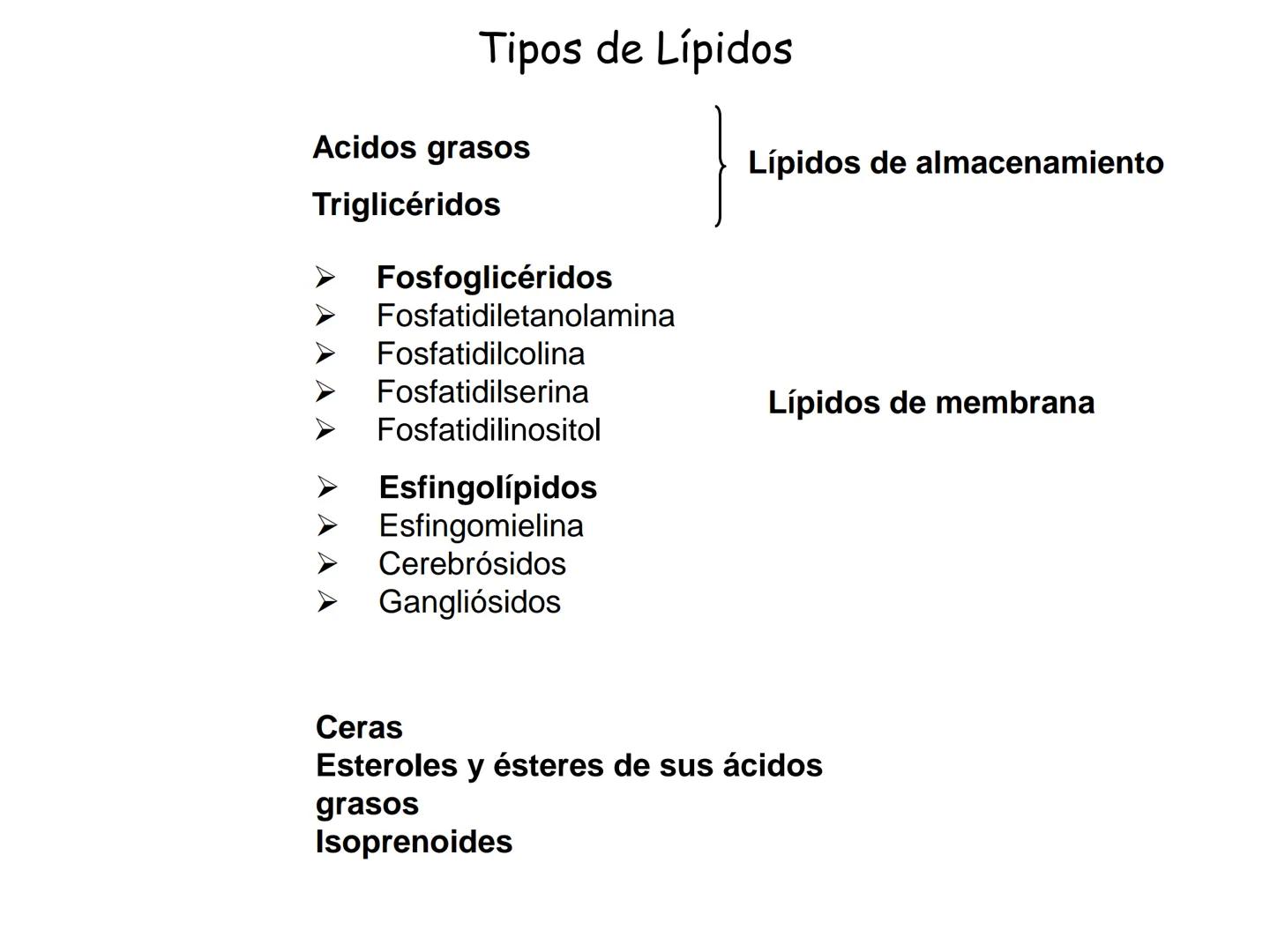 # Fundamentos de Bioquímica
Lípidos
FLUID
Phosphatidyl
Choline Bilayer
Carbon/Palmitic
Nitrogen Oleic
Oxygen
Water Oxygens
Phosphorus
H