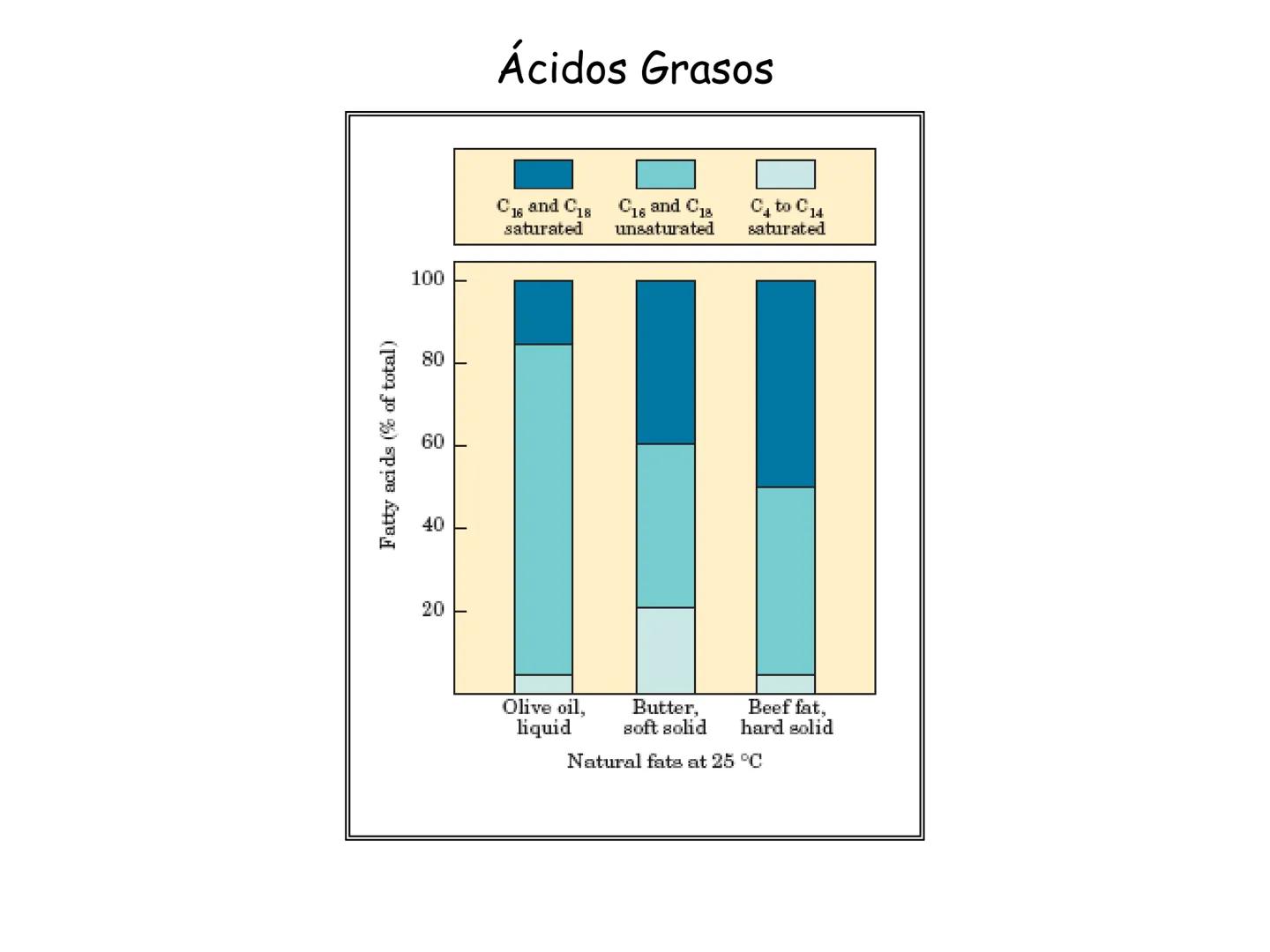 # Fundamentos de Bioquímica
Lípidos
FLUID
Phosphatidyl
Choline Bilayer
Carbon/Palmitic
Nitrogen Oleic
Oxygen
Water Oxygens
Phosphorus
H