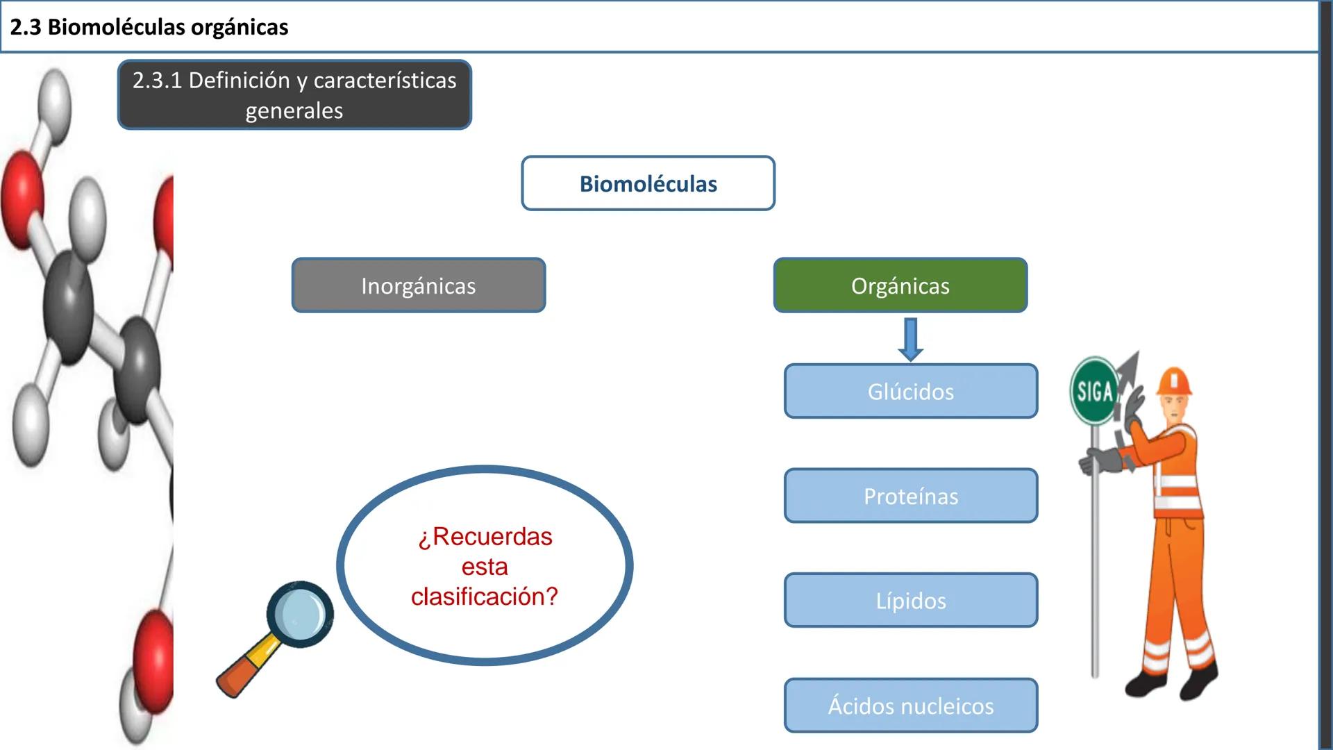 ## 2.3 Biomoléculas orgánicas
2.3.1 Definición y características
generales
Inorgánicas
¿Recuerdas
esta
clasificación?
Biomoléculas
Orgá