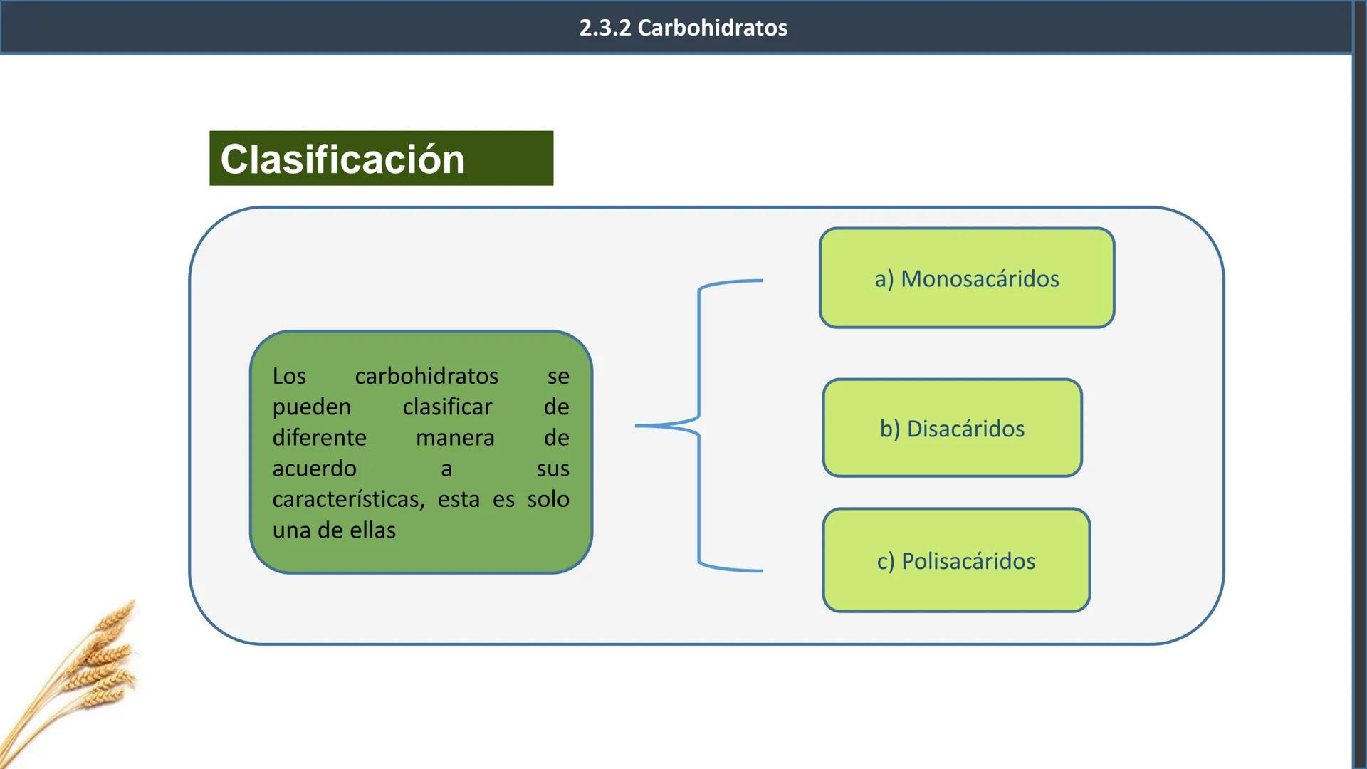 ## 2.3 Biomoléculas orgánicas
2.3.1 Definición y características
generales
Inorgánicas
¿Recuerdas
esta
clasificación?
Biomoléculas
Orgá