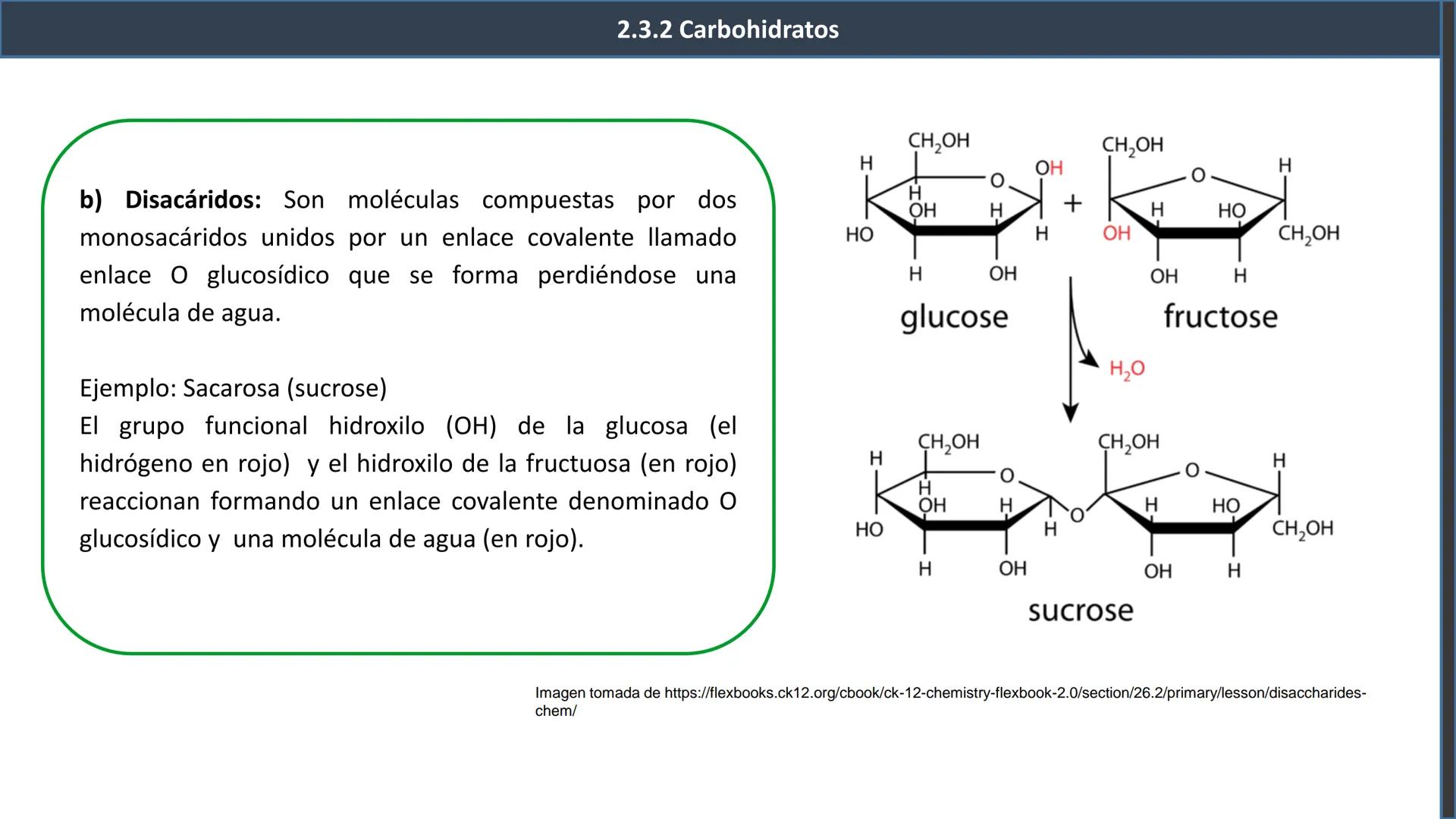 ## 2.3 Biomoléculas orgánicas
2.3.1 Definición y características
generales
Inorgánicas
¿Recuerdas
esta
clasificación?
Biomoléculas
Orgá