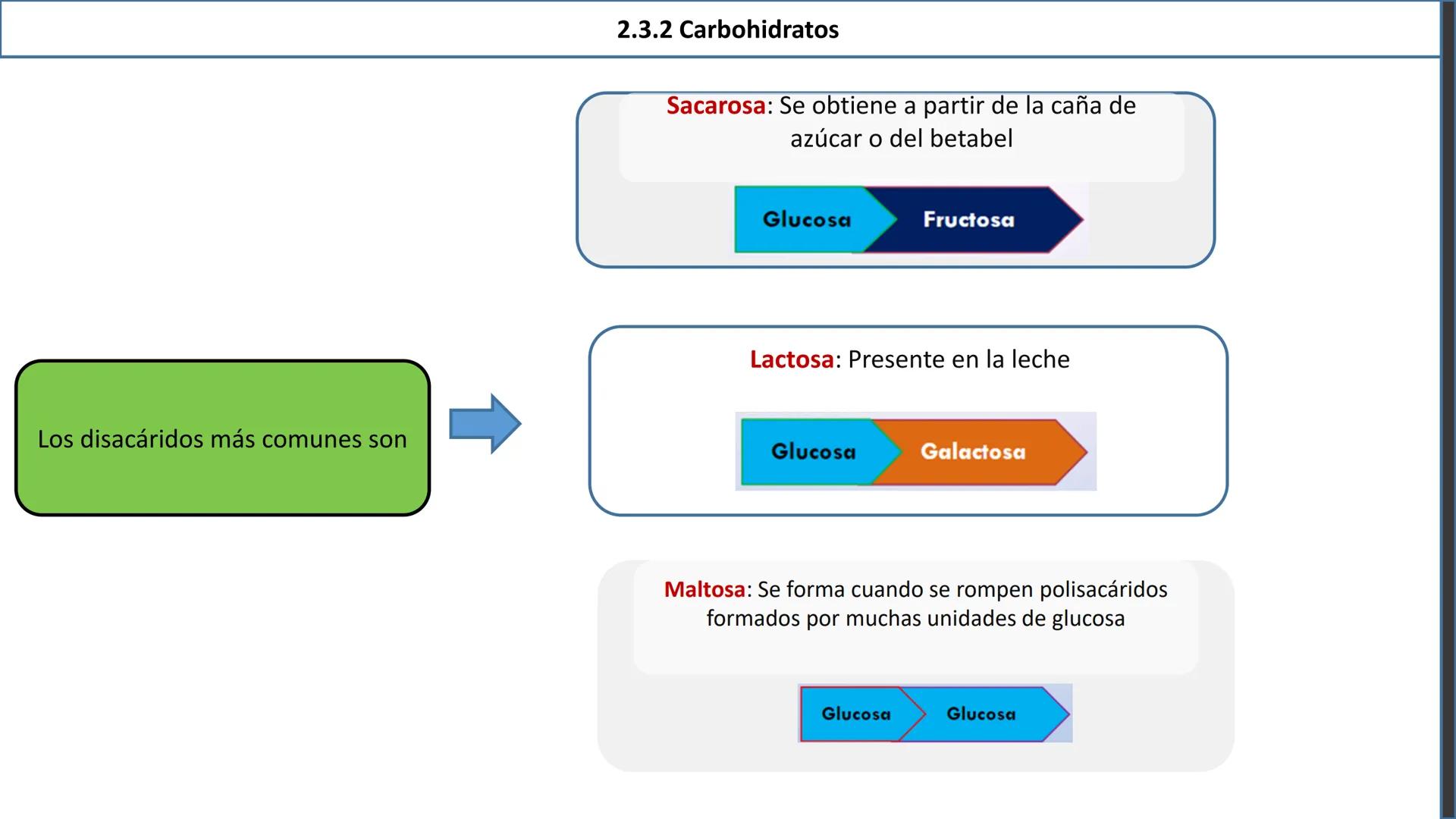 ## 2.3 Biomoléculas orgánicas
2.3.1 Definición y características
generales
Inorgánicas
¿Recuerdas
esta
clasificación?
Biomoléculas
Orgá