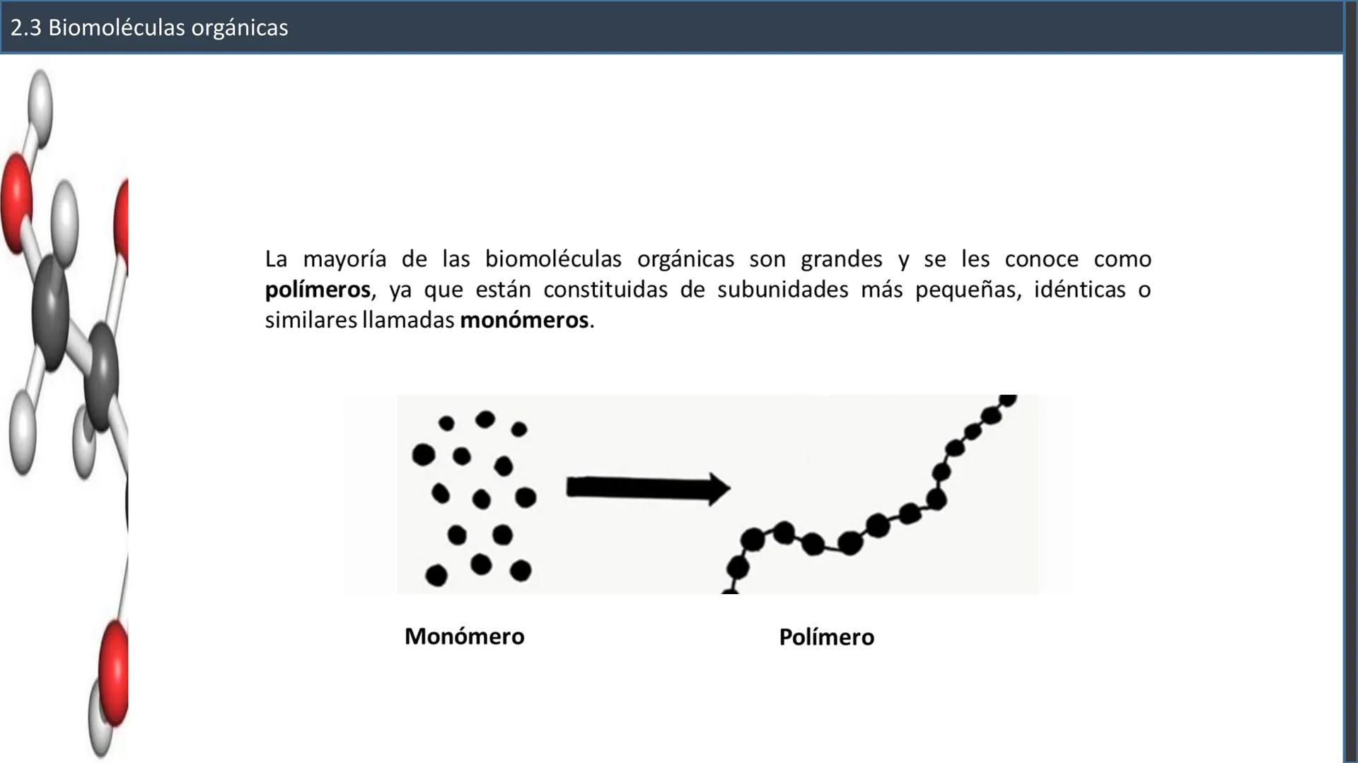 ## 2.3 Biomoléculas orgánicas
2.3.1 Definición y características
generales
Inorgánicas
¿Recuerdas
esta
clasificación?
Biomoléculas
Orgá