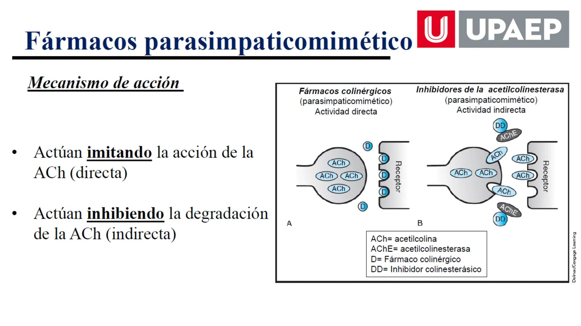 # UNIVERSIDAD POPULAR AUTÓNOMA
DEL ESTADO DE PUEBLA
Área: Ciencias Médicas
Licenciatura en Medicina Veterinaria y Zootecnia
Materia: Farm