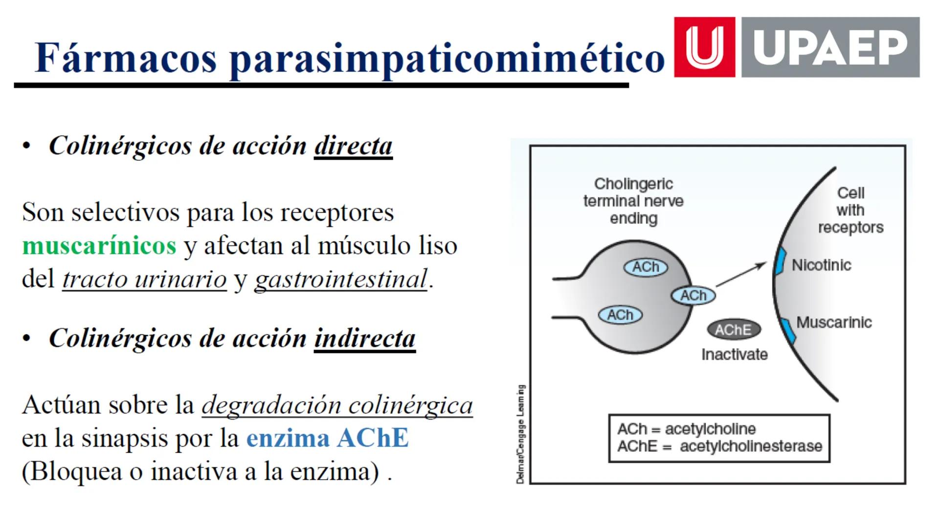 # UNIVERSIDAD POPULAR AUTÓNOMA
DEL ESTADO DE PUEBLA
Área: Ciencias Médicas
Licenciatura en Medicina Veterinaria y Zootecnia
Materia: Farm