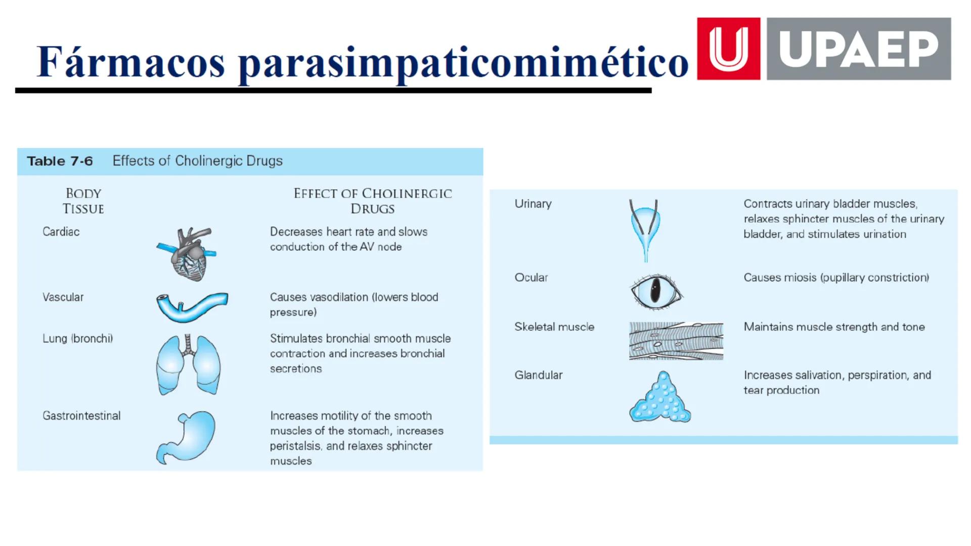 # UNIVERSIDAD POPULAR AUTÓNOMA
DEL ESTADO DE PUEBLA
Área: Ciencias Médicas
Licenciatura en Medicina Veterinaria y Zootecnia
Materia: Farm