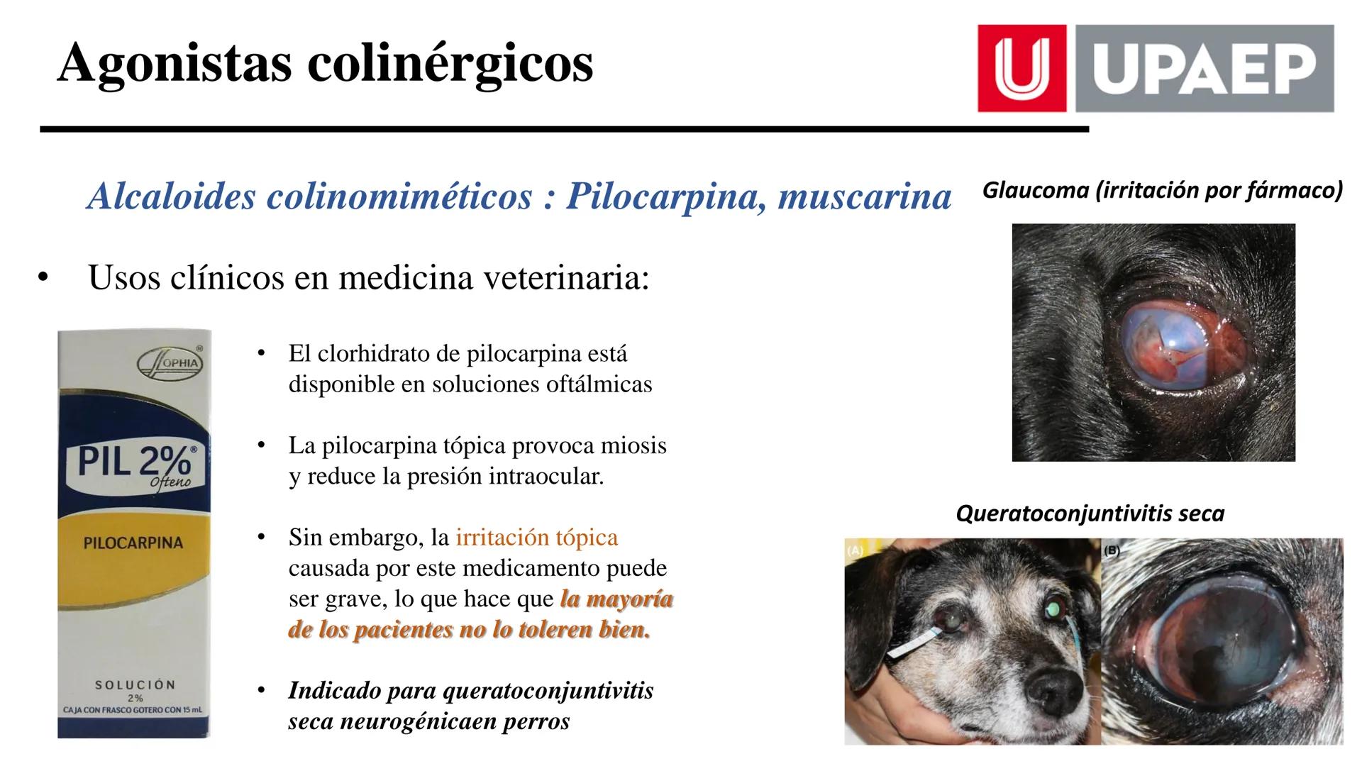 # UNIVERSIDAD POPULAR AUTÓNOMA
DEL ESTADO DE PUEBLA
Área: Ciencias Médicas
Licenciatura en Medicina Veterinaria y Zootecnia
Materia: Farm