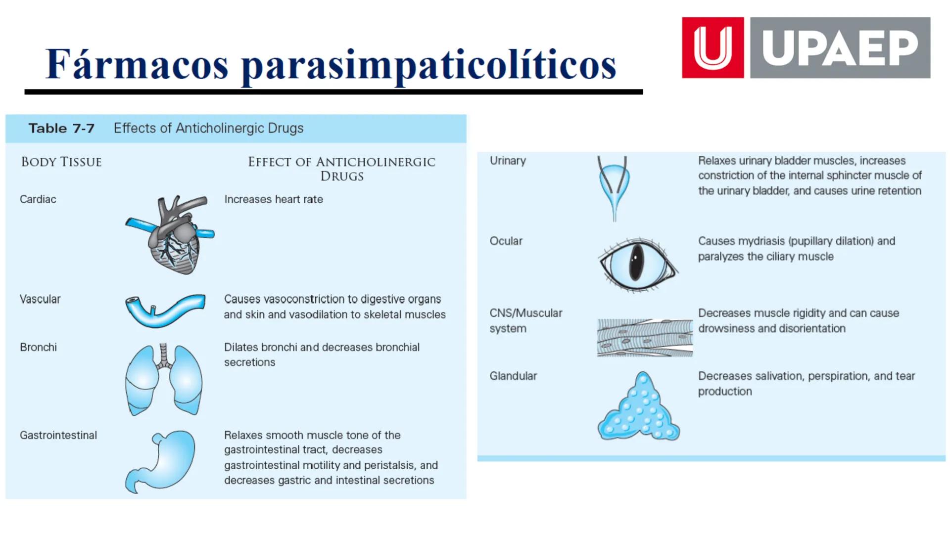 # UNIVERSIDAD POPULAR AUTÓNOMA
DEL ESTADO DE PUEBLA
Área: Ciencias Médicas
Licenciatura en Medicina Veterinaria y Zootecnia
Materia: Farm