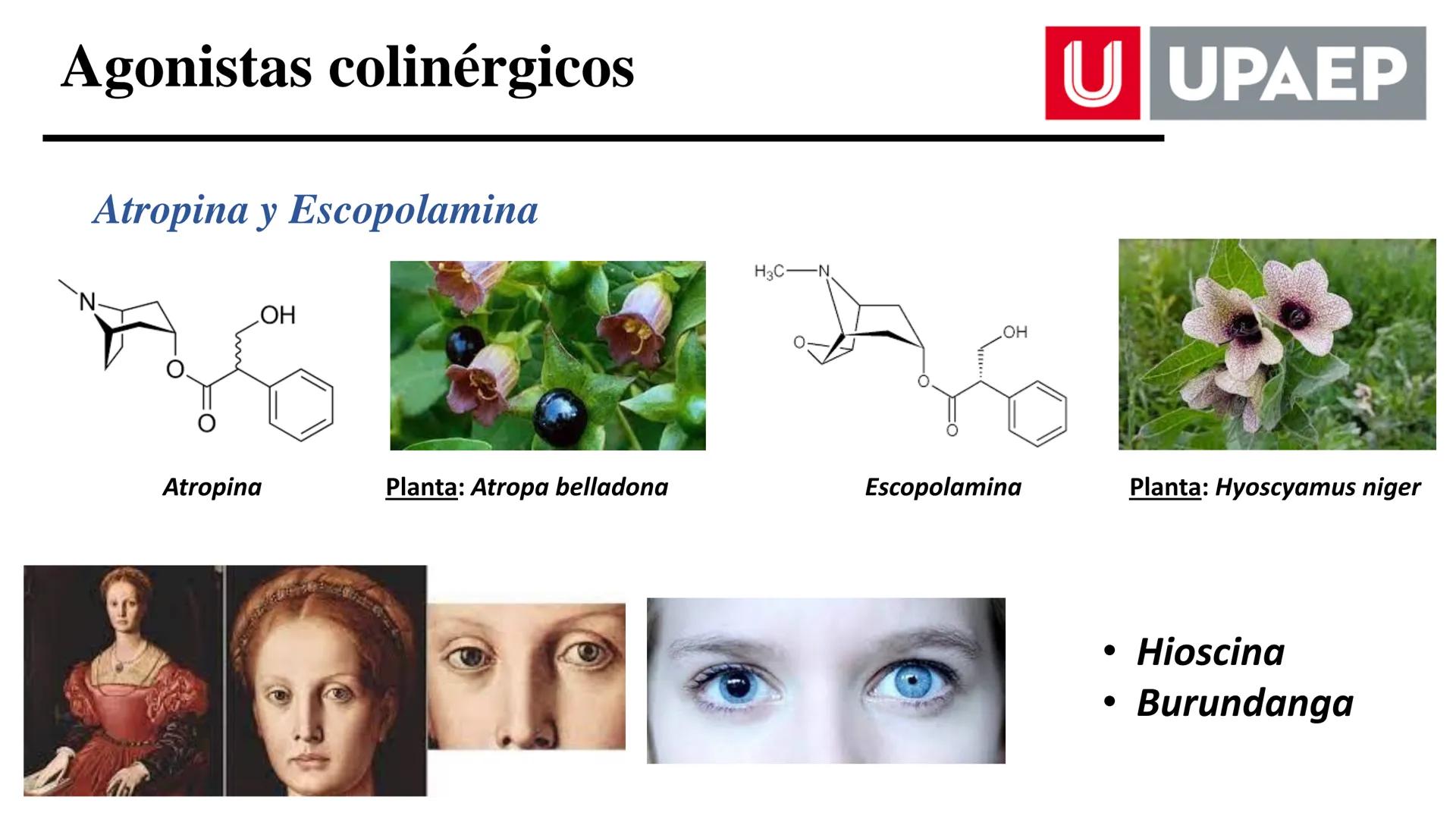 # UNIVERSIDAD POPULAR AUTÓNOMA
DEL ESTADO DE PUEBLA
Área: Ciencias Médicas
Licenciatura en Medicina Veterinaria y Zootecnia
Materia: Farm