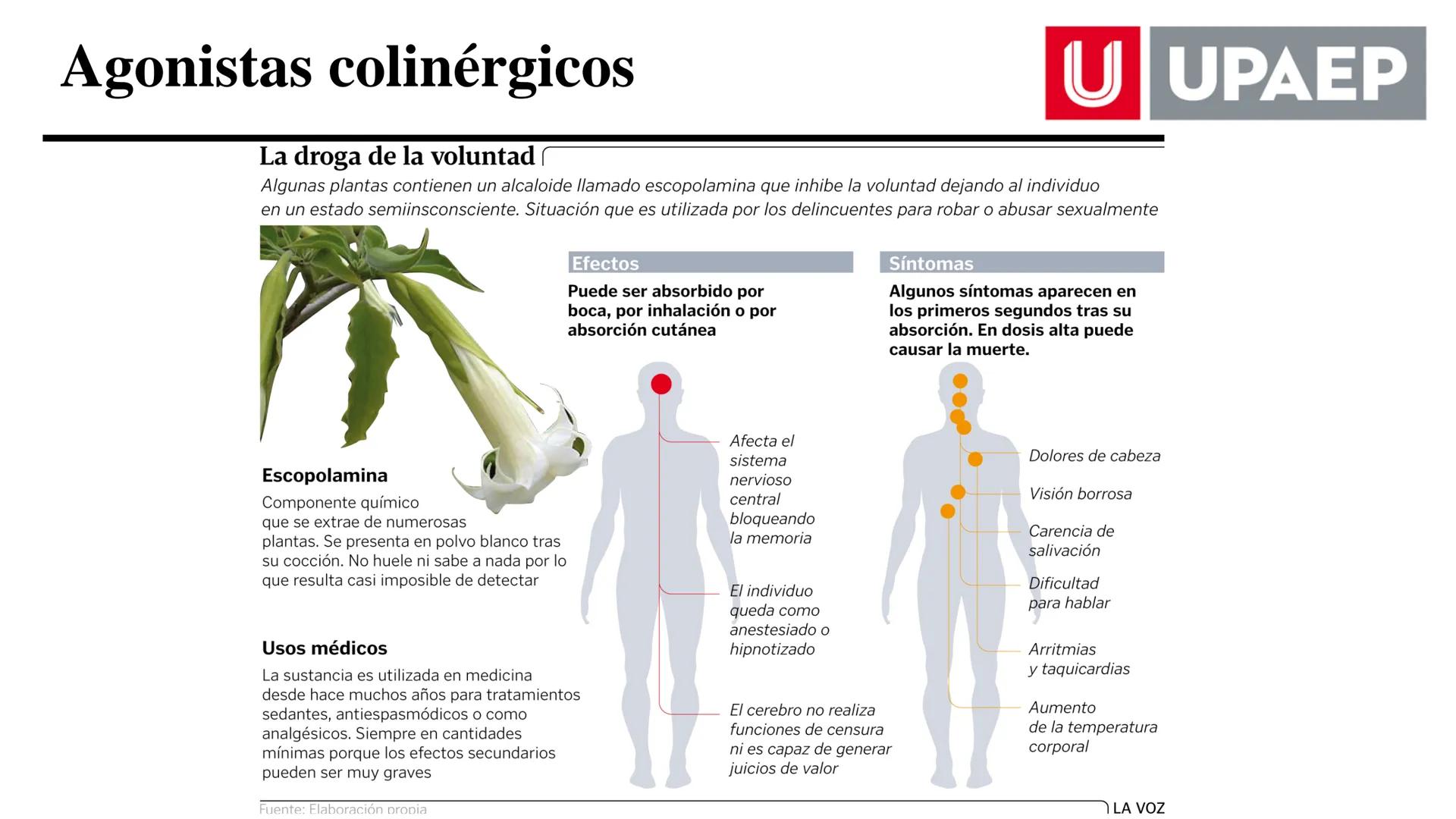 # UNIVERSIDAD POPULAR AUTÓNOMA
DEL ESTADO DE PUEBLA
Área: Ciencias Médicas
Licenciatura en Medicina Veterinaria y Zootecnia
Materia: Farm