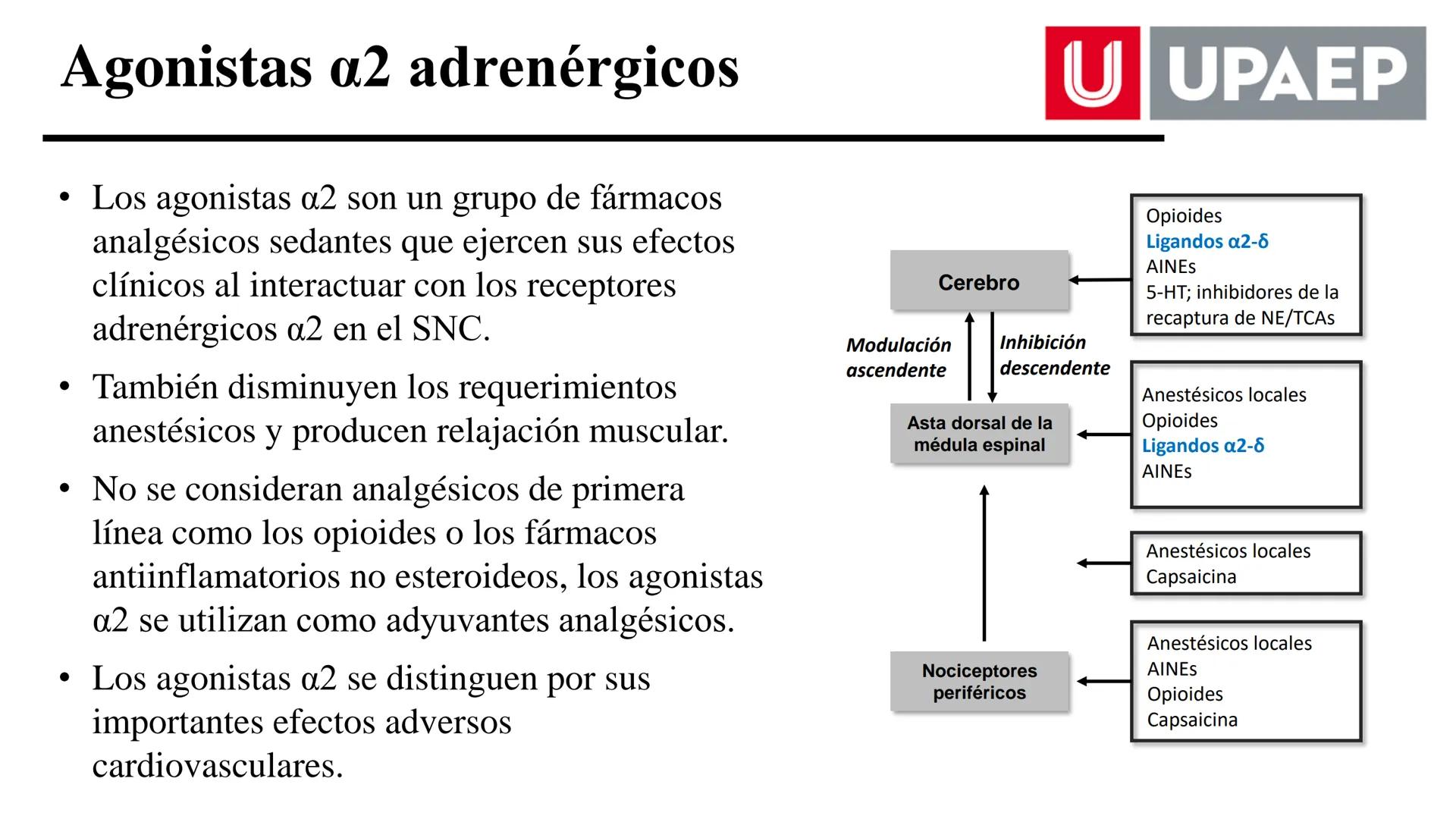 # UNIVERSIDAD POPULAR AUTÓNOMA
DEL ESTADO DE PUEBLA
Área: Ciencias Médicas
Licenciatura en Medicina Veterinaria y Zootecnia
Materia: Farm