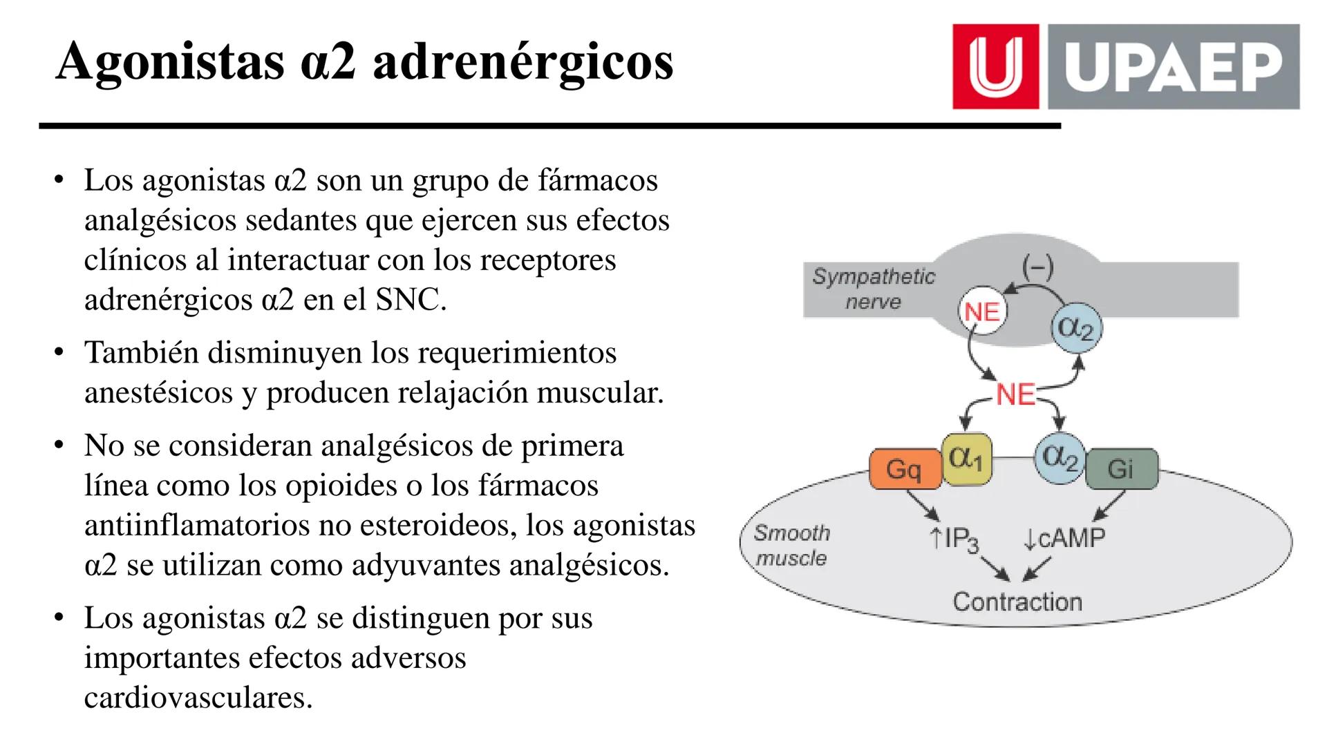 # UNIVERSIDAD POPULAR AUTÓNOMA
DEL ESTADO DE PUEBLA
Área: Ciencias Médicas
Licenciatura en Medicina Veterinaria y Zootecnia
Materia: Farm