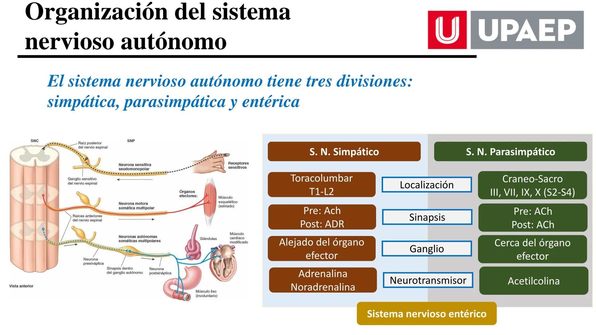 # UNIVERSIDAD POPULAR AUTÓNOMA
DEL ESTADO DE PUEBLA
Área: Ciencias Médicas
Licenciatura en Medicina Veterinaria y Zootecnia
Materia: Farm