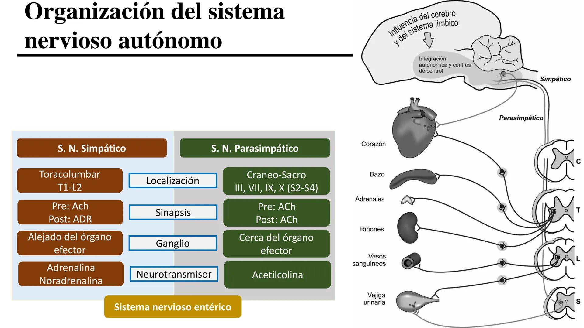 # UNIVERSIDAD POPULAR AUTÓNOMA
DEL ESTADO DE PUEBLA
Área: Ciencias Médicas
Licenciatura en Medicina Veterinaria y Zootecnia
Materia: Farm