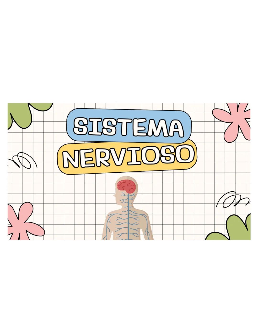 SISTEMA
NERVIOSO ## ¿QUÉ ES?
El sistema nervioso es una red compleja de
células y tejidos que procesa y transmite
información en el cuerpo