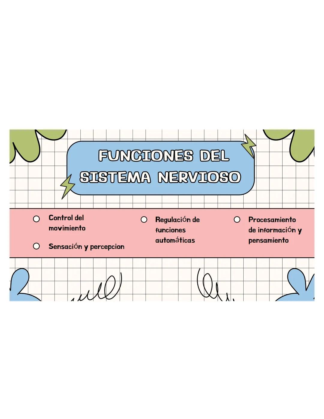 SISTEMA
NERVIOSO ## ¿QUÉ ES?
El sistema nervioso es una red compleja de
células y tejidos que procesa y transmite
información en el cuerpo
