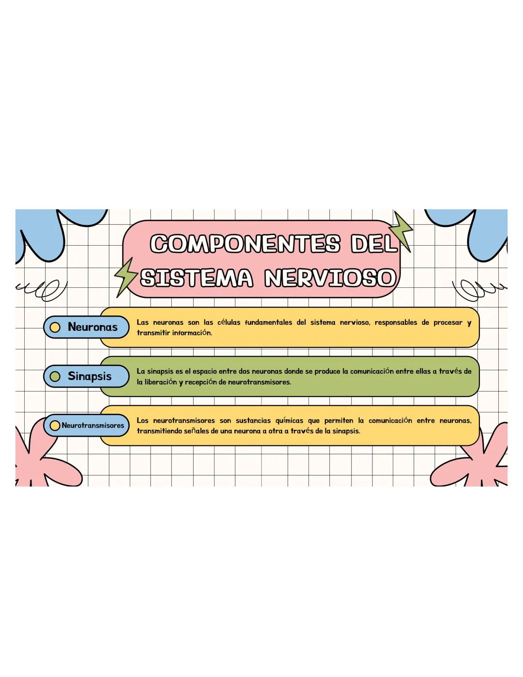 SISTEMA
NERVIOSO ## ¿QUÉ ES?
El sistema nervioso es una red compleja de
células y tejidos que procesa y transmite
información en el cuerpo