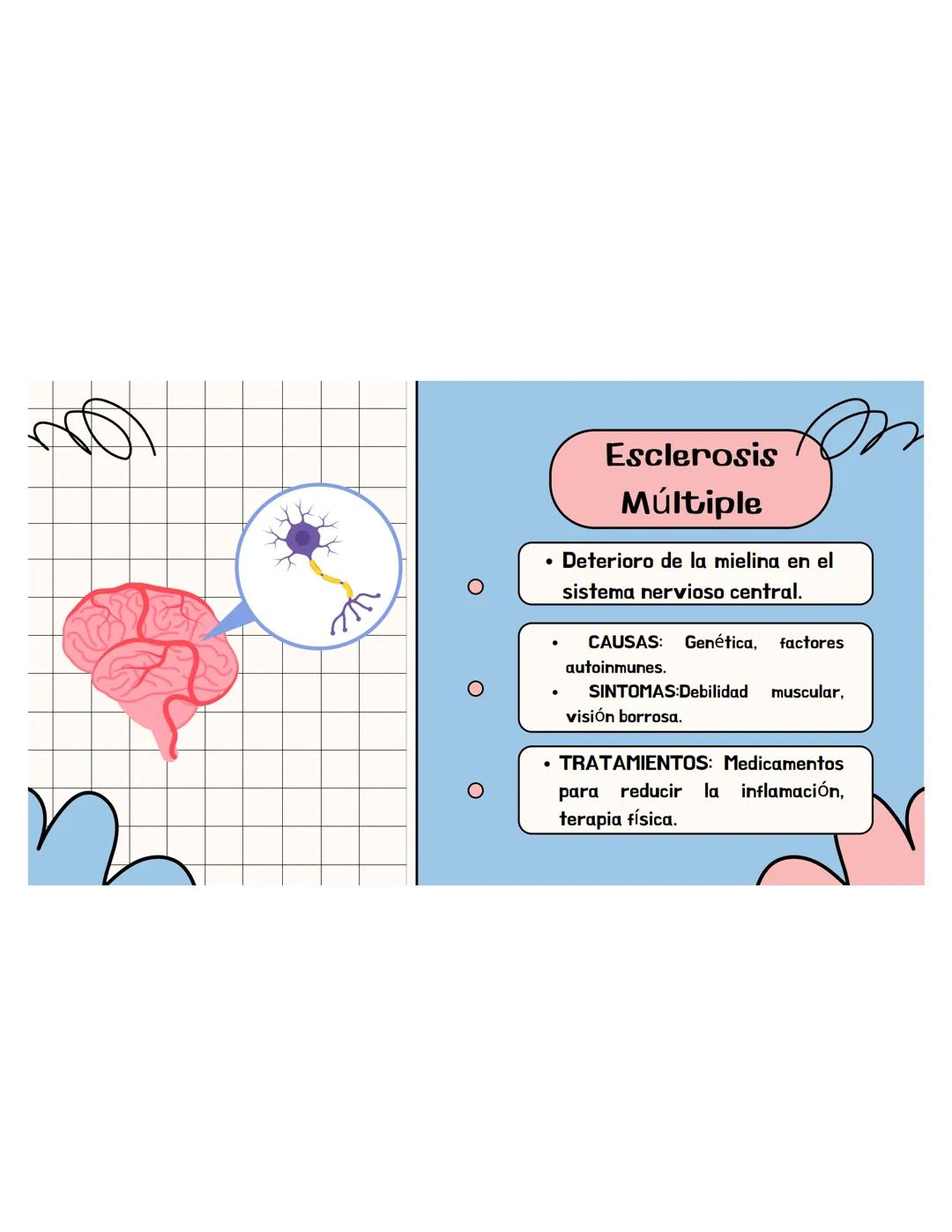 SISTEMA
NERVIOSO ## ¿QUÉ ES?
El sistema nervioso es una red compleja de
células y tejidos que procesa y transmite
información en el cuerpo