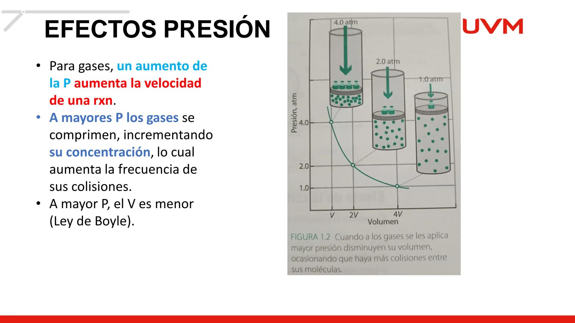 # CINÉTICA
# QUÍMICA
BLOQUE 1
UVM # CINETICA QUÍMICA
Objetivo:
UVM
Aplica diversas acciones mediante el análisis de los
factores, la ve