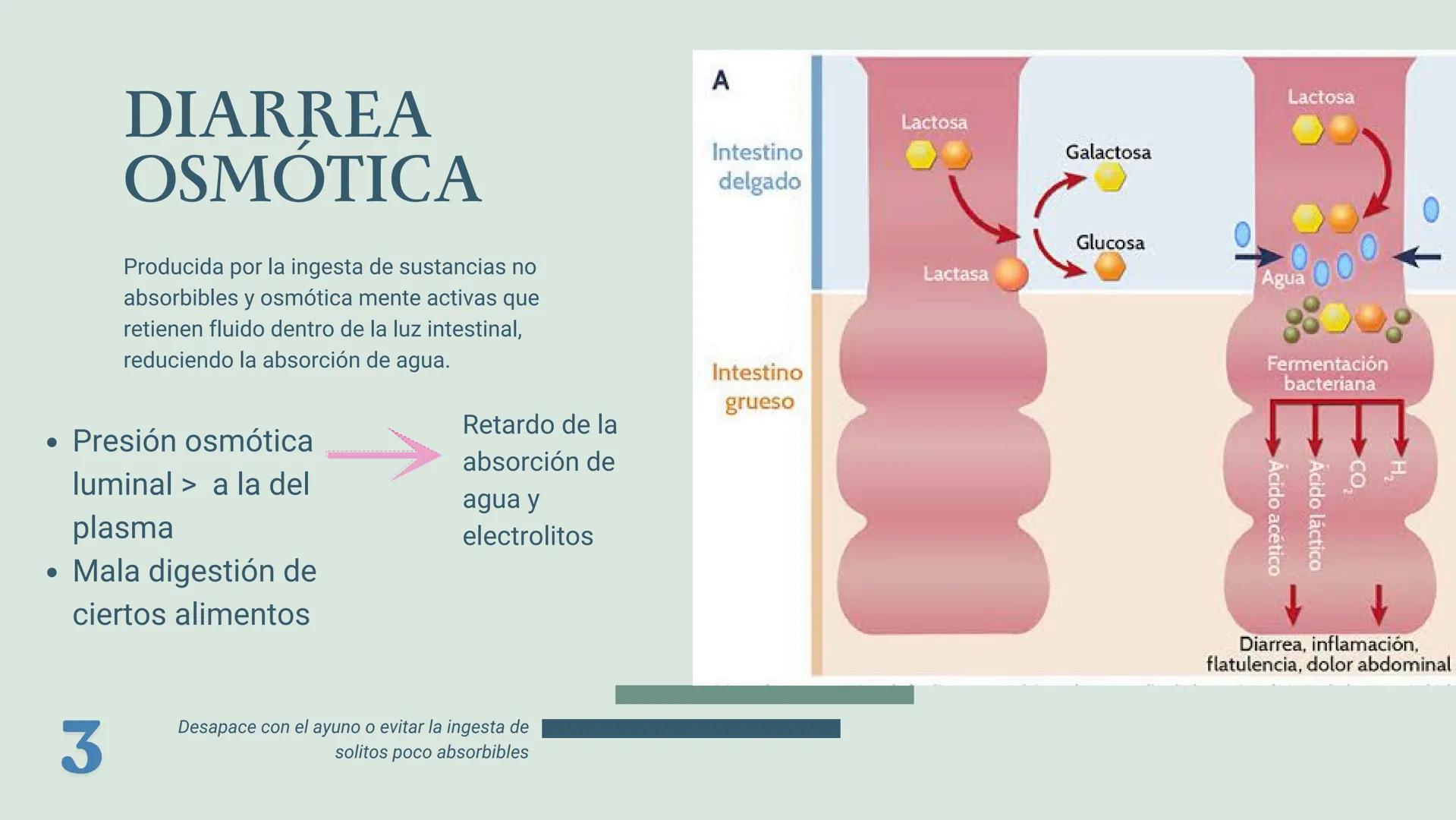 UBBJ
DIARREAS
INFECCIOSAS
Por Virus y Bacterias 1
# DEFINICIÓN
Según la OMS como la eliminación de heces
líquidas o semiliquidas en un nú