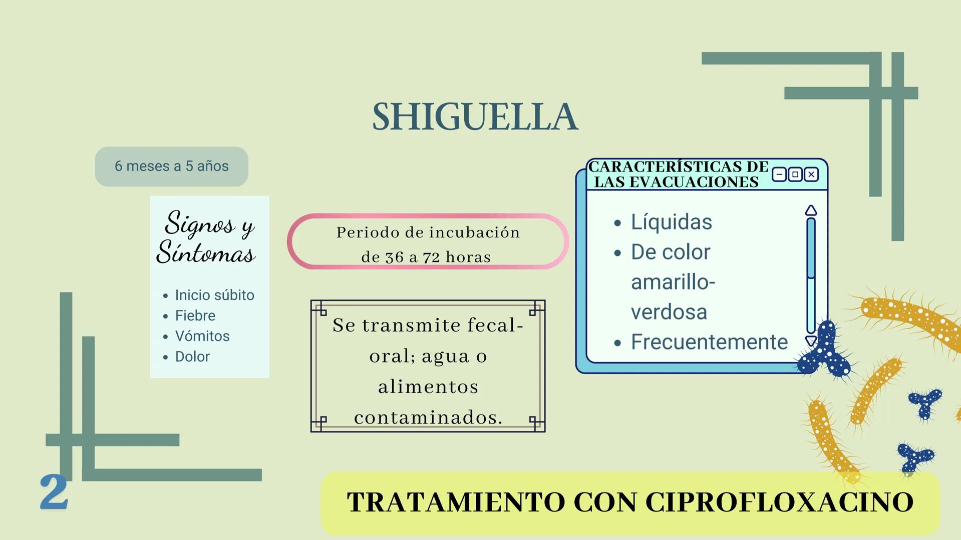 UBBJ
DIARREAS
INFECCIOSAS
Por Virus y Bacterias 1
# DEFINICIÓN
Según la OMS como la eliminación de heces
líquidas o semiliquidas en un nú