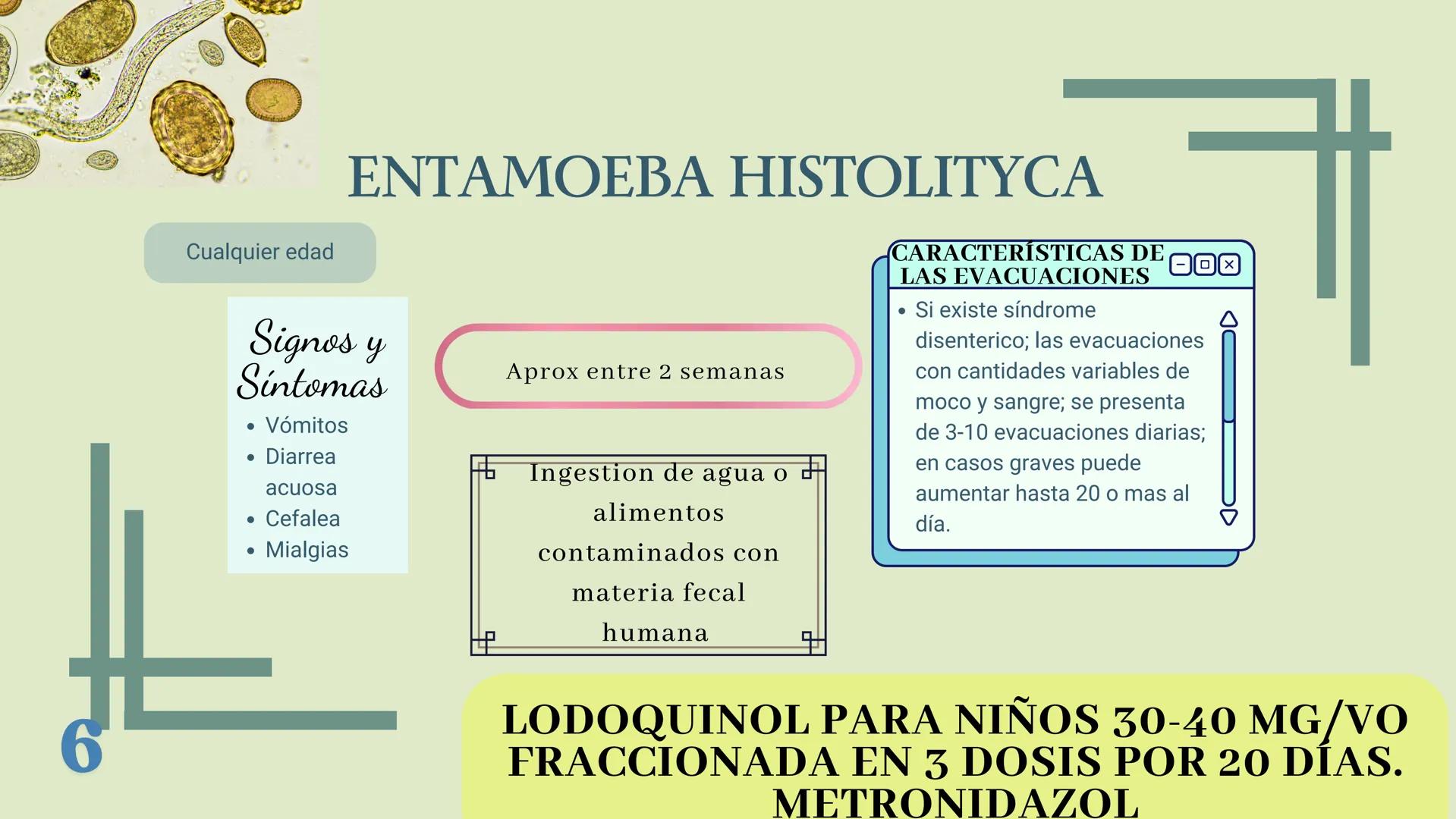 UBBJ
DIARREAS
INFECCIOSAS
Por Virus y Bacterias 1
# DEFINICIÓN
Según la OMS como la eliminación de heces
líquidas o semiliquidas en un nú