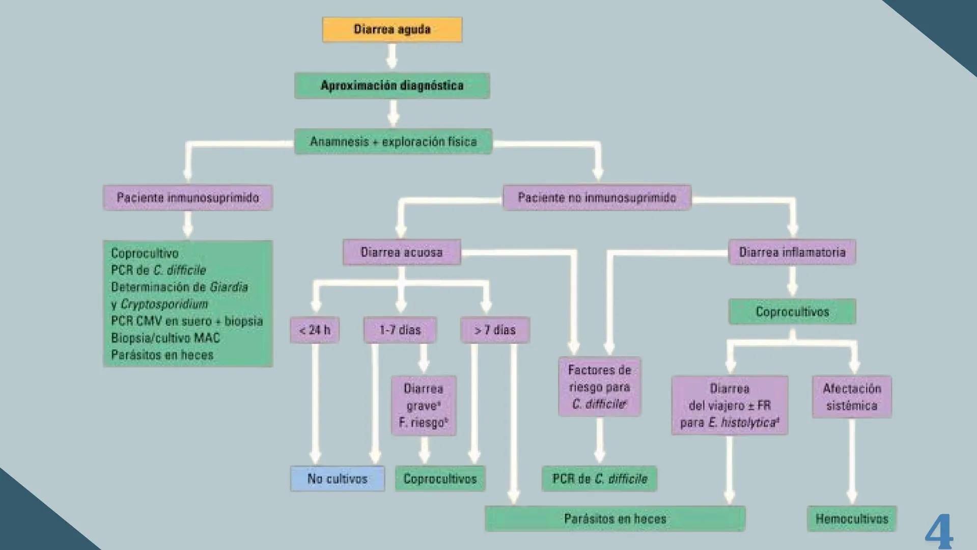 UBBJ
DIARREAS
INFECCIOSAS
Por Virus y Bacterias 1
# DEFINICIÓN
Según la OMS como la eliminación de heces
líquidas o semiliquidas en un nú