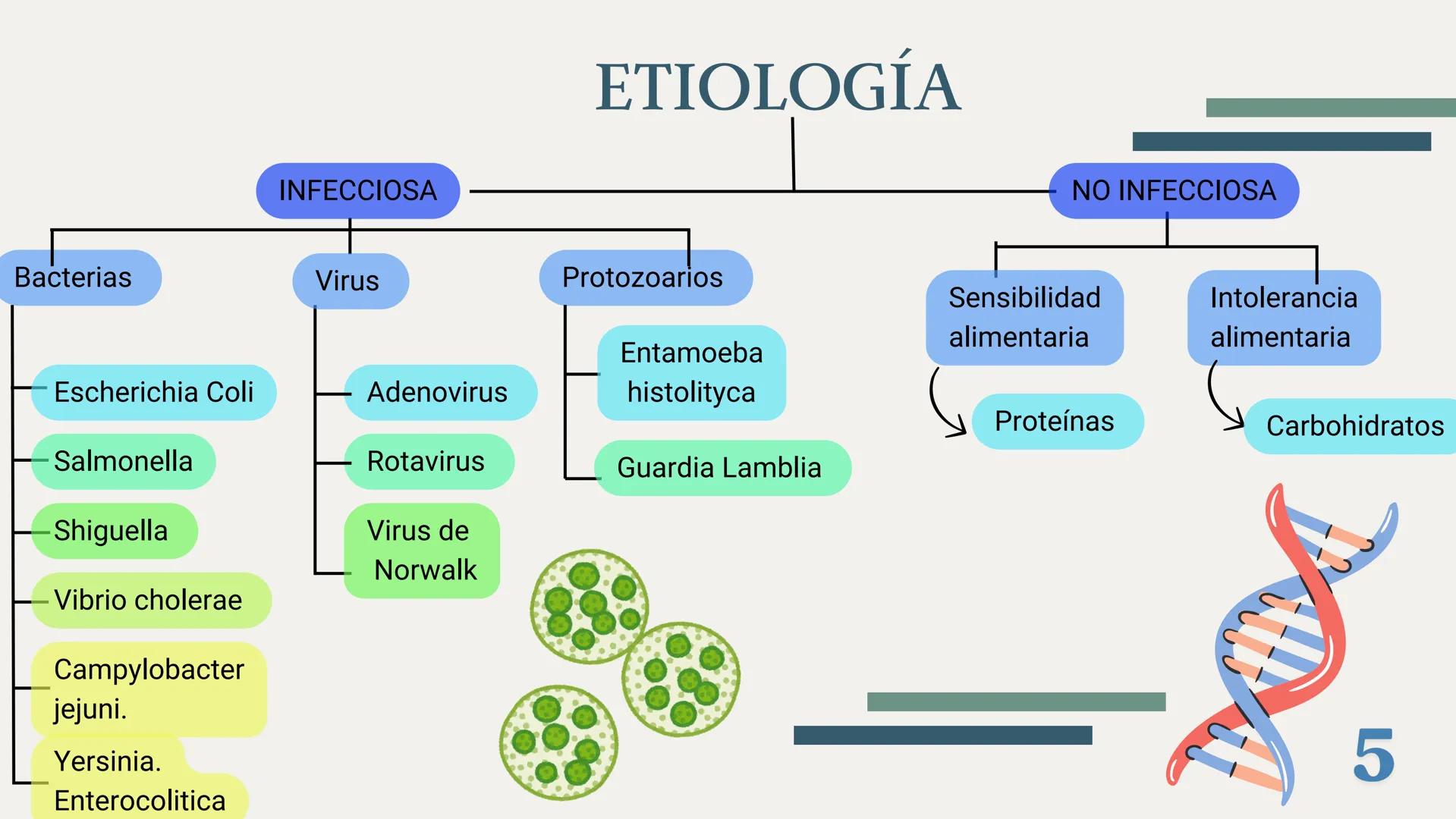 UBBJ
DIARREAS
INFECCIOSAS
Por Virus y Bacterias 1
# DEFINICIÓN
Según la OMS como la eliminación de heces
líquidas o semiliquidas en un nú