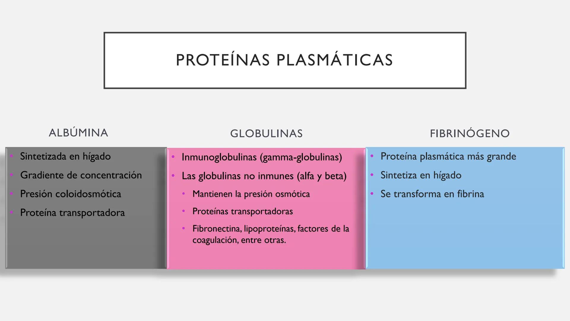 # SANGRE Y MÉDULA ÓSEA
Es tejido conjuntivo líquido que circula a través del aparato cardiovascular FUNCIONES
Transporte de sustancias nut