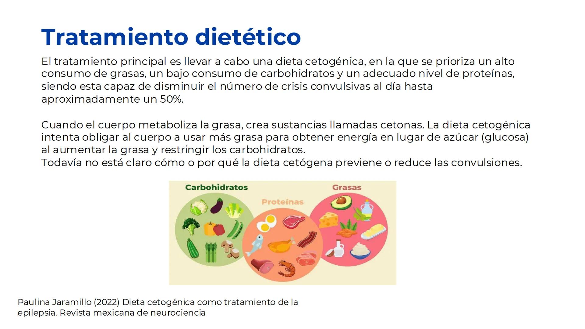 # EPILEPSIA
Universidad Autónoma de Sinaloa
Licenciatura en Nutrición
Equipo 02 | Grupo 2-104
Lizárraga Cazárez Pamela
Lizárraga Rodríguez