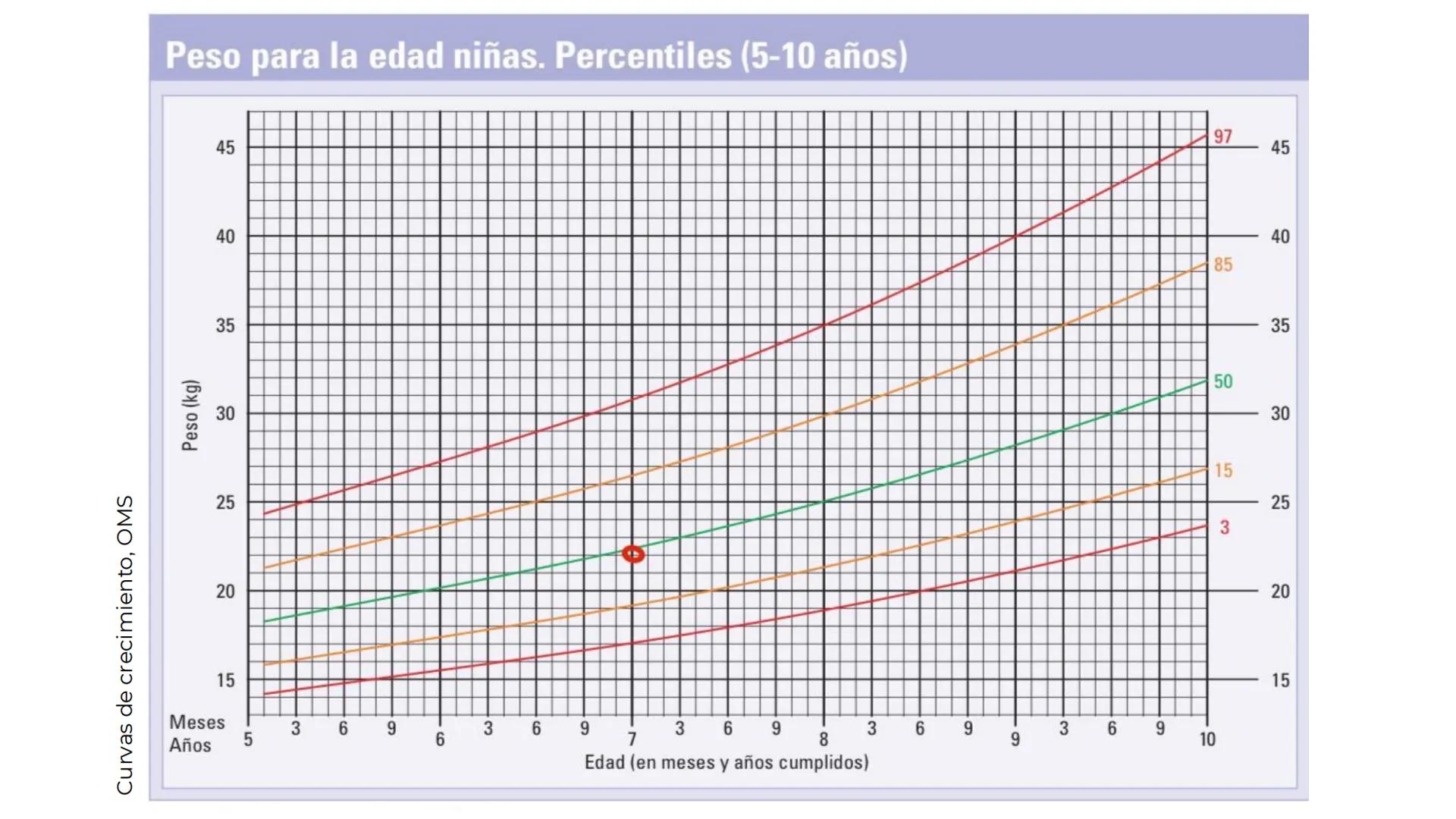 # EPILEPSIA
Universidad Autónoma de Sinaloa
Licenciatura en Nutrición
Equipo 02 | Grupo 2-104
Lizárraga Cazárez Pamela
Lizárraga Rodríguez