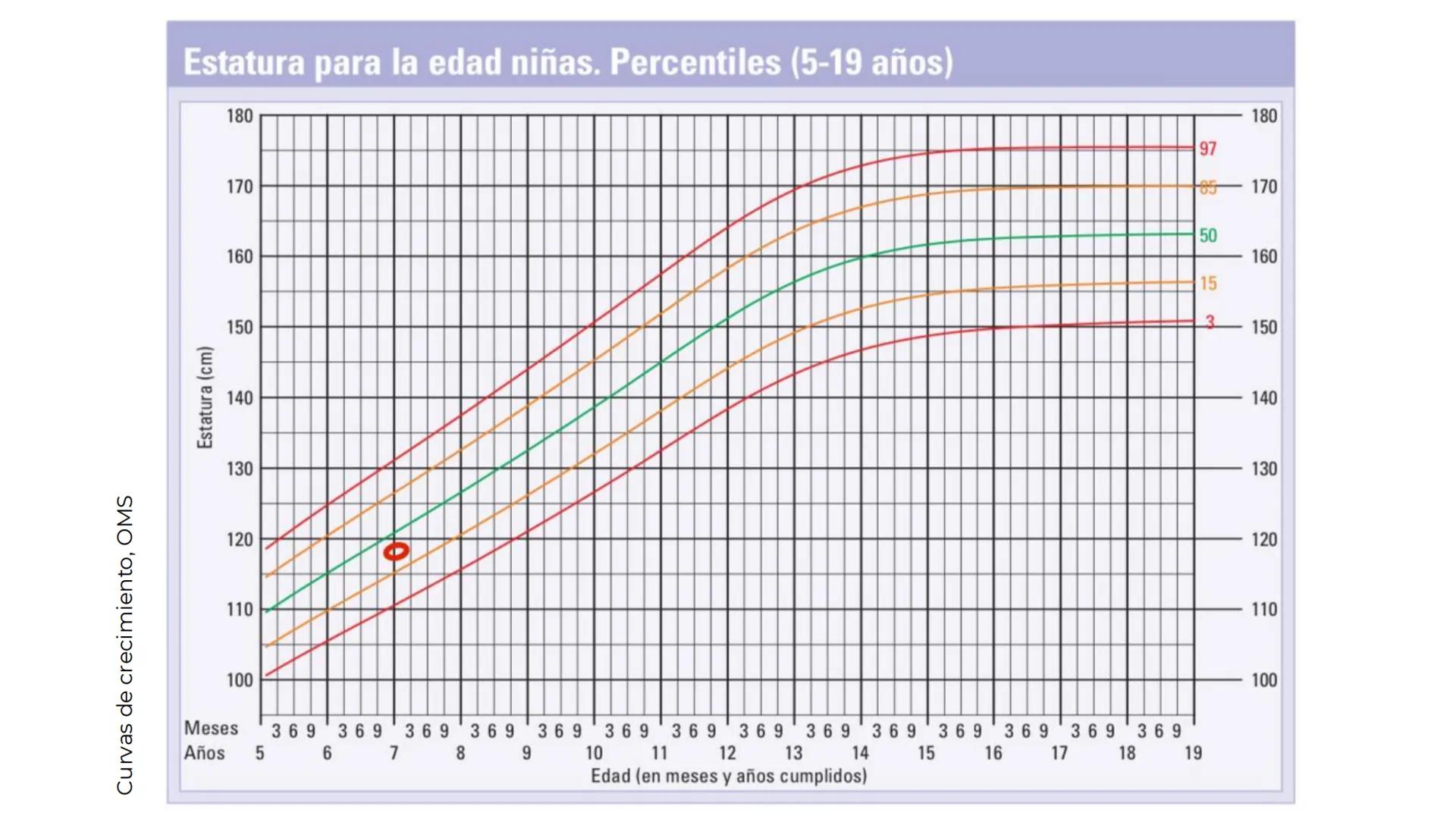 # EPILEPSIA
Universidad Autónoma de Sinaloa
Licenciatura en Nutrición
Equipo 02 | Grupo 2-104
Lizárraga Cazárez Pamela
Lizárraga Rodríguez