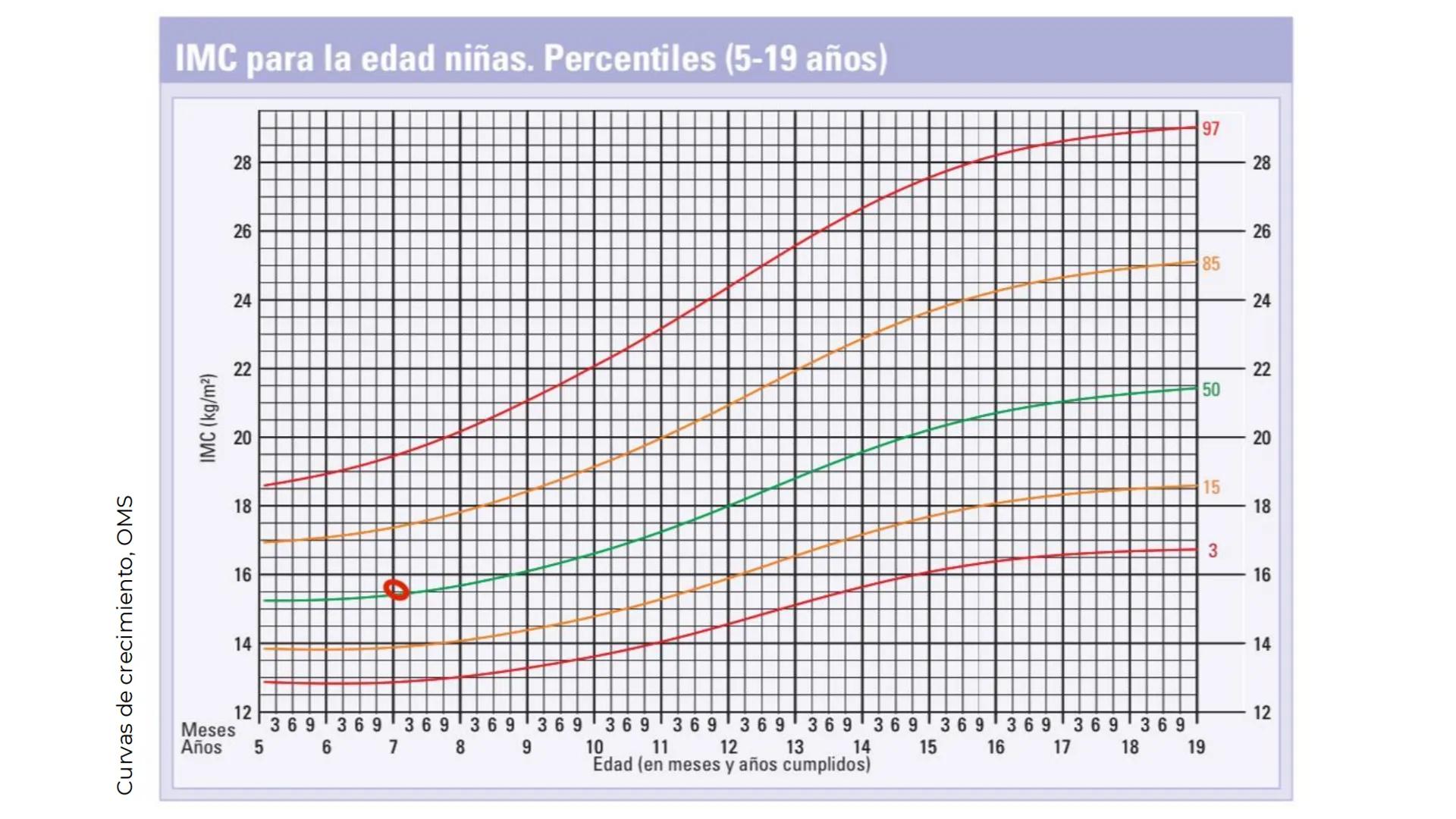 # EPILEPSIA
Universidad Autónoma de Sinaloa
Licenciatura en Nutrición
Equipo 02 | Grupo 2-104
Lizárraga Cazárez Pamela
Lizárraga Rodríguez