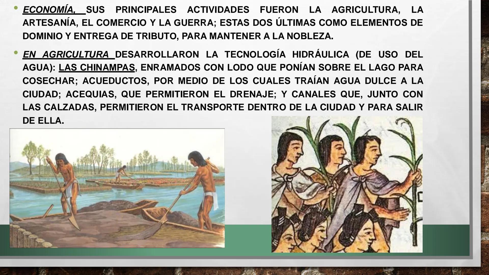 PRINCIPALES CULTURAS DEL MÉXICO ANTIGUO: OLMECAS, MAYAS,
TEOTIHUACANOS, MEXICAS, ZAPOTECAS, ETC. Los olmecas son tan antiguos que ni siquier