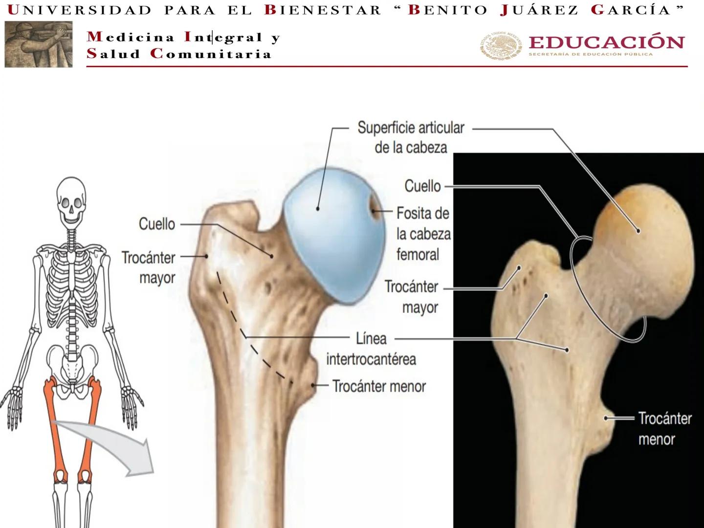 # UNIVERSIDAD PARA EL BIENESTAR “BENITO JUÁREZ GARCÍA”
Medicina Integral y
Salud Comunitaria
# EDUCACIÓN
SECRETARÍA DE EDUCACIÓN PÚBLICA