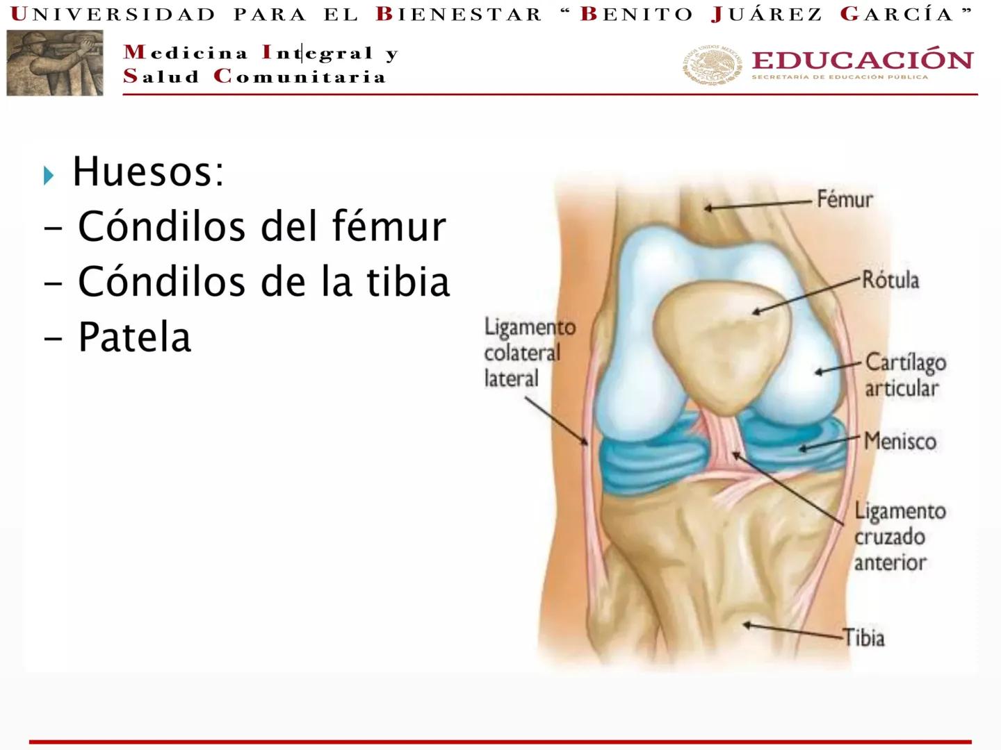 # UNIVERSIDAD PARA EL BIENESTAR “BENITO JUÁREZ GARCÍA”
Medicina Integral y
Salud Comunitaria
# EDUCACIÓN
SECRETARÍA DE EDUCACIÓN PÚBLICA