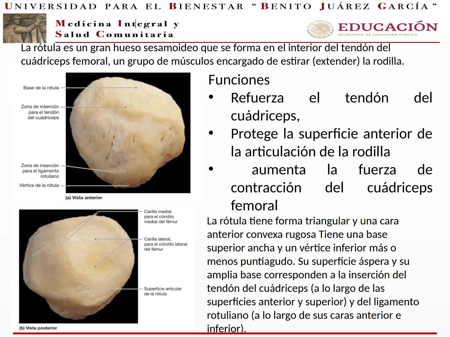 # UNIVERSIDAD PARA EL BIENESTAR “BENITO JUÁREZ GARCÍA”
Medicina Integral y
Salud Comunitaria
# EDUCACIÓN
SECRETARÍA DE EDUCACIÓN PÚBLICA
