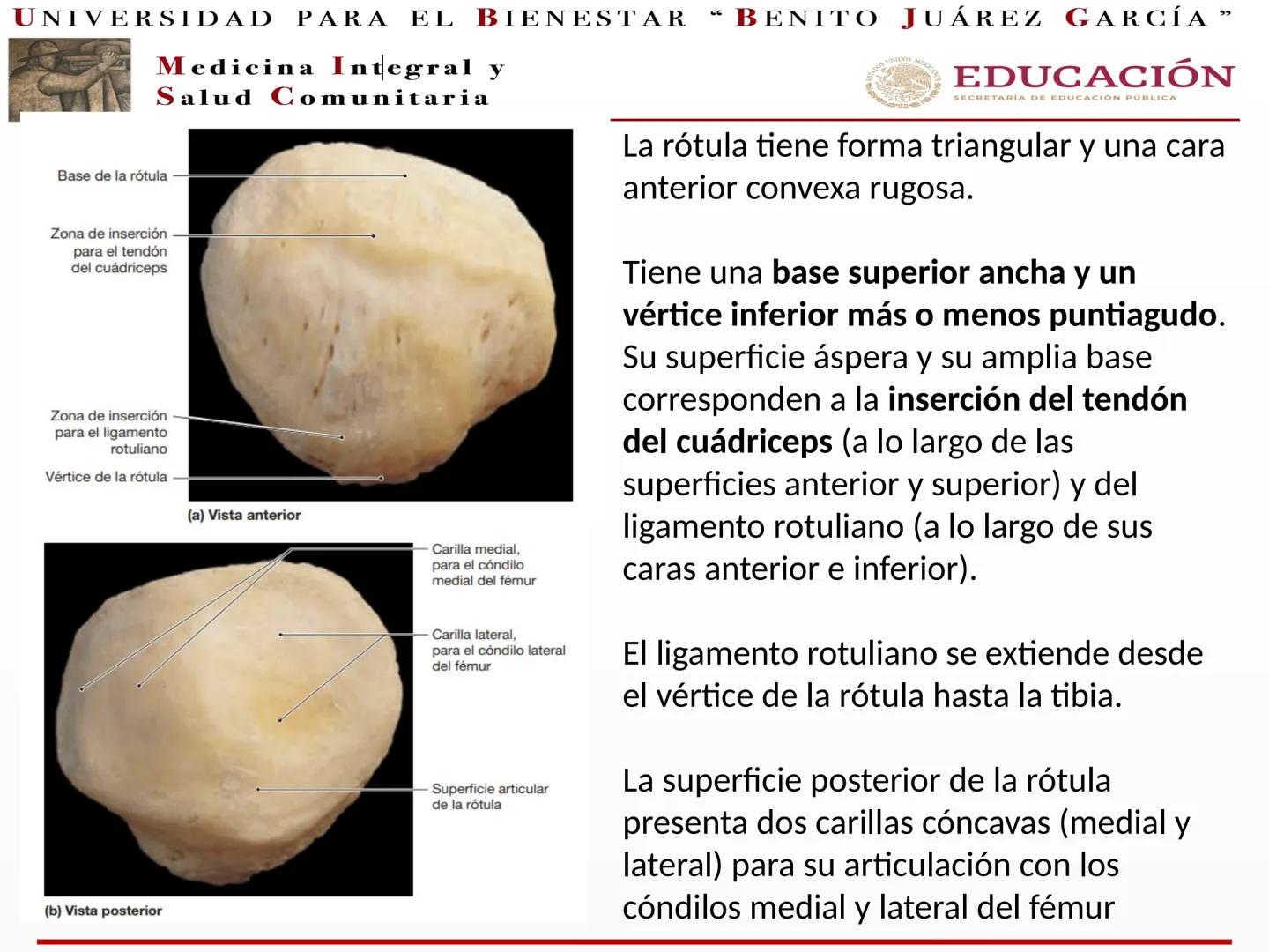 # UNIVERSIDAD PARA EL BIENESTAR “BENITO JUÁREZ GARCÍA”
Medicina Integral y
Salud Comunitaria
# EDUCACIÓN
SECRETARÍA DE EDUCACIÓN PÚBLICA