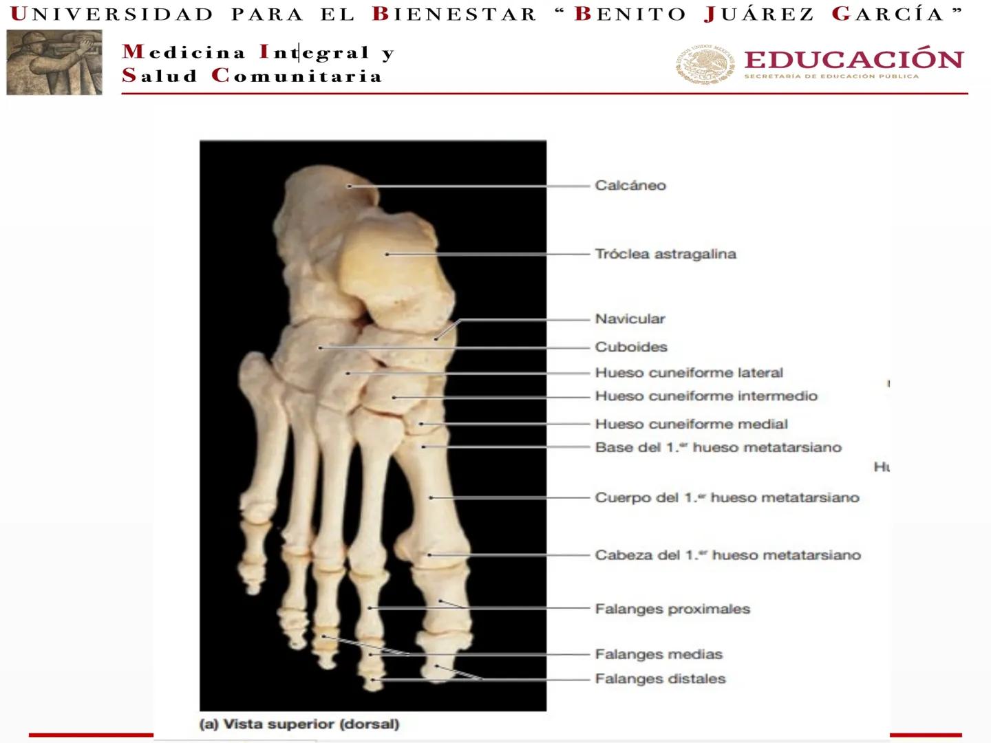 # UNIVERSIDAD PARA EL BIENESTAR “BENITO JUÁREZ GARCÍA”
Medicina Integral y
Salud Comunitaria
# EDUCACIÓN
SECRETARÍA DE EDUCACIÓN PÚBLICA