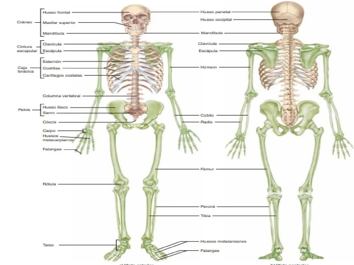 # UNIVERSIDAD PARA EL BIENESTAR “BENITO JUÁREZ GARCÍA”
Medicina Integral y
Salud Comunitaria
# EDUCACIÓN
SECRETARÍA DE EDUCACIÓN PÚBLICA