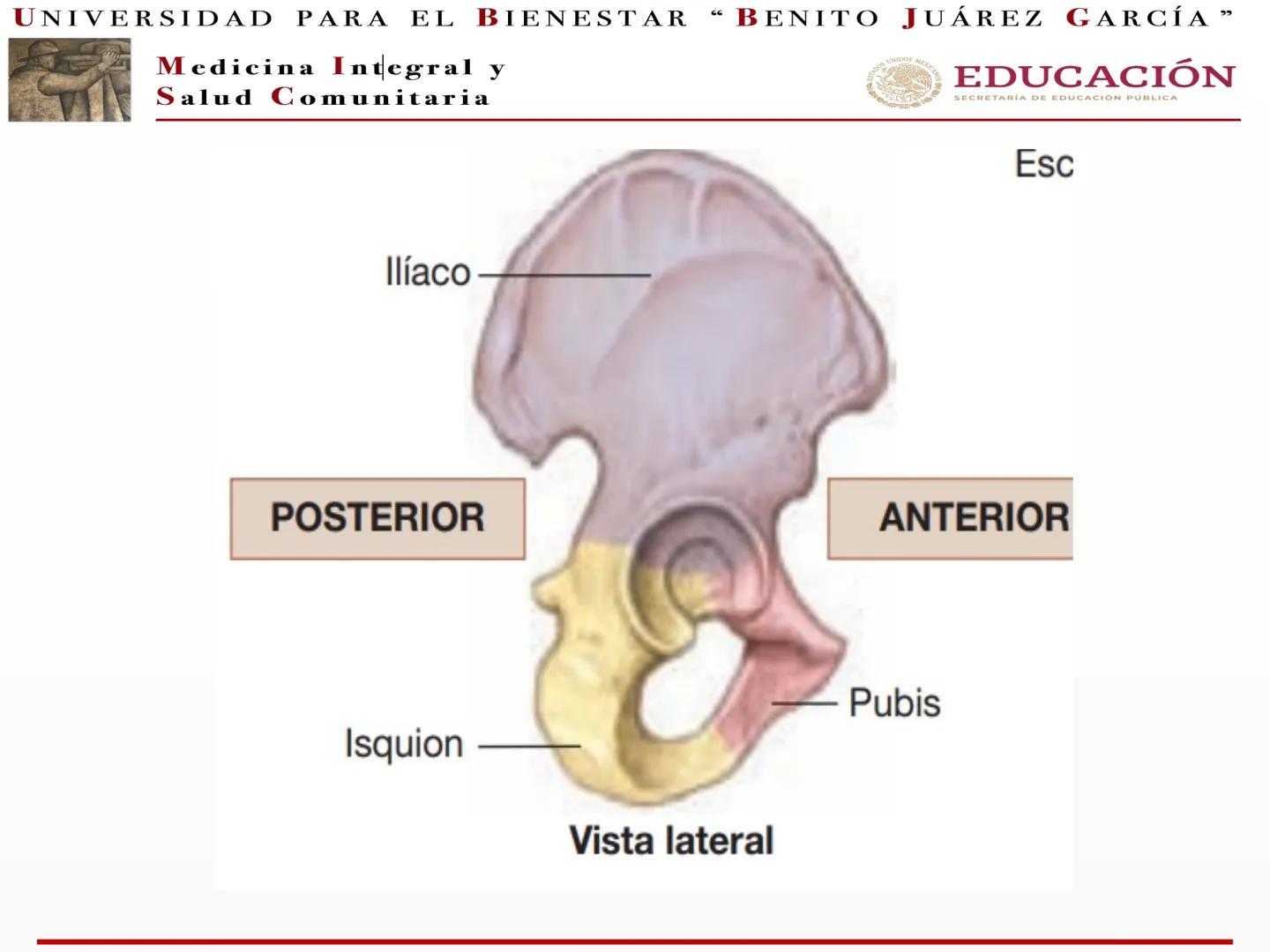 # UNIVERSIDAD PARA EL BIENESTAR “BENITO JUÁREZ GARCÍA”
Medicina Integral y
Salud Comunitaria
# EDUCACIÓN
SECRETARÍA DE EDUCACIÓN PÚBLICA