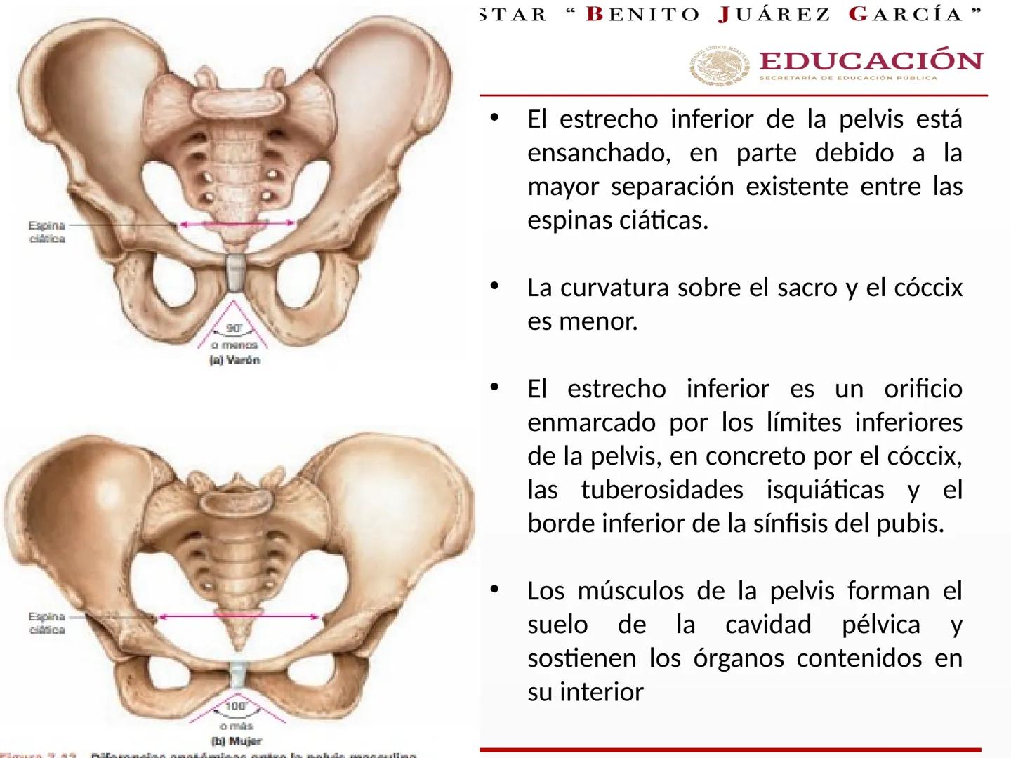 # UNIVERSIDAD PARA EL BIENESTAR “BENITO JUÁREZ GARCÍA”
Medicina Integral y
Salud Comunitaria
# EDUCACIÓN
SECRETARÍA DE EDUCACIÓN PÚBLICA