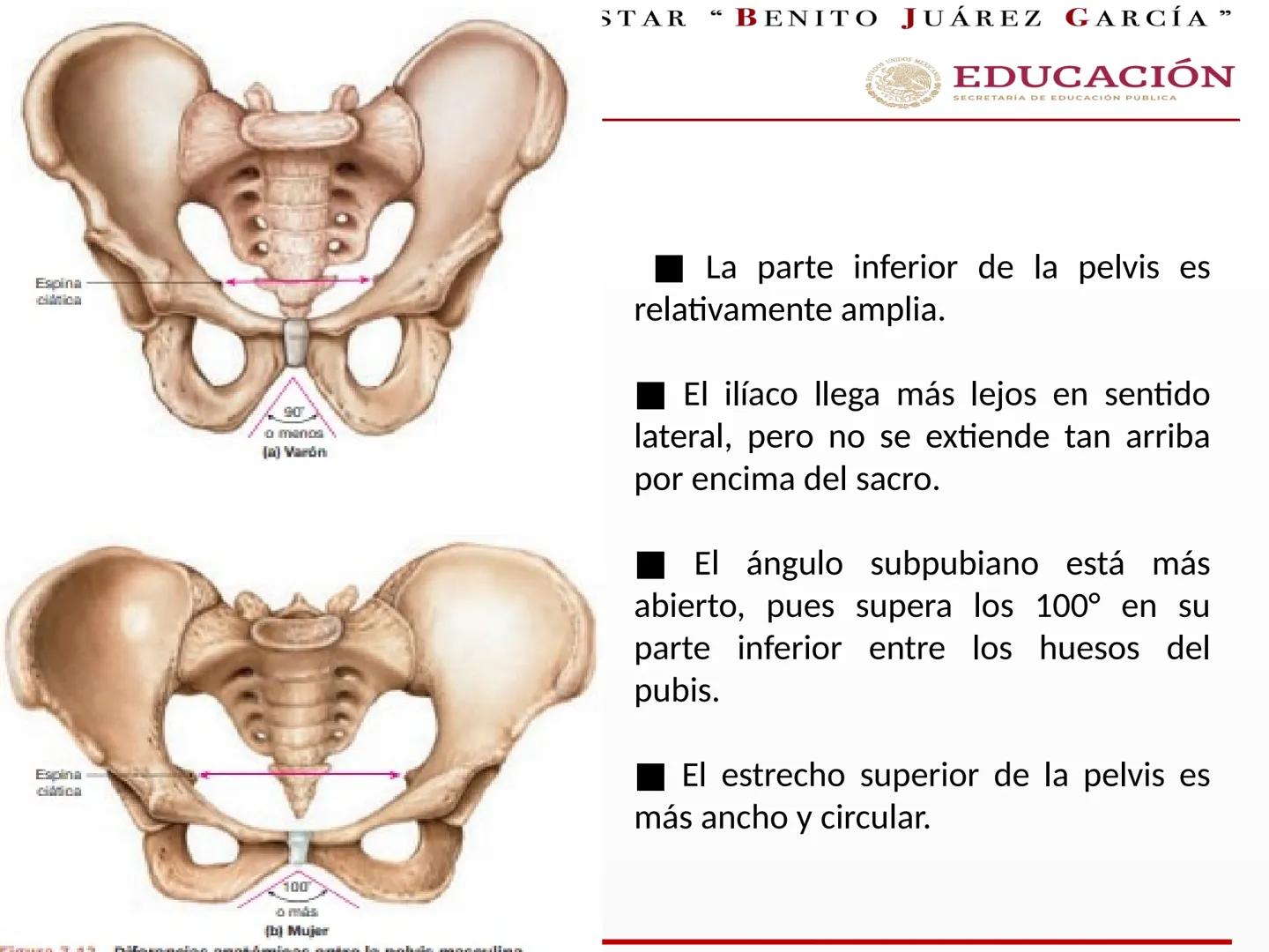 # UNIVERSIDAD PARA EL BIENESTAR “BENITO JUÁREZ GARCÍA”
Medicina Integral y
Salud Comunitaria
# EDUCACIÓN
SECRETARÍA DE EDUCACIÓN PÚBLICA
