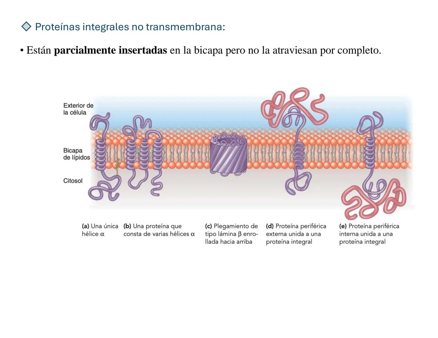# Transporte Celular y membrana
## Tabla de contenido
MEMBRANA CELULA.....................................................................